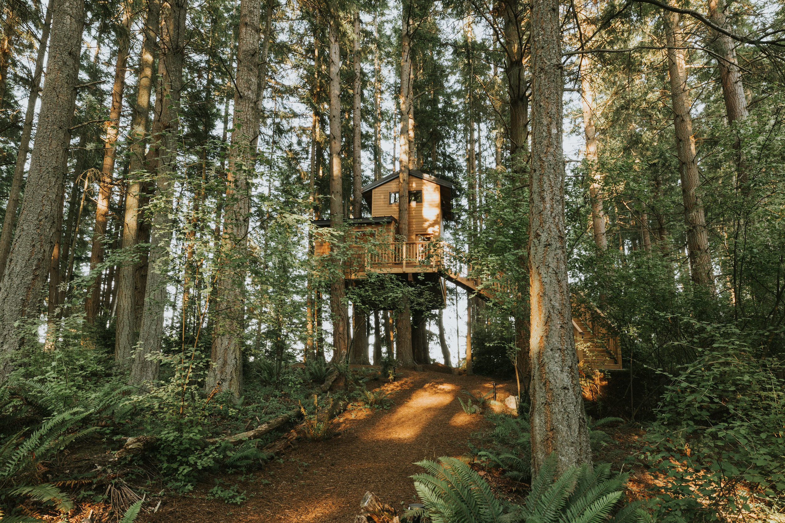 TreehouseWhidbey-2.jpg