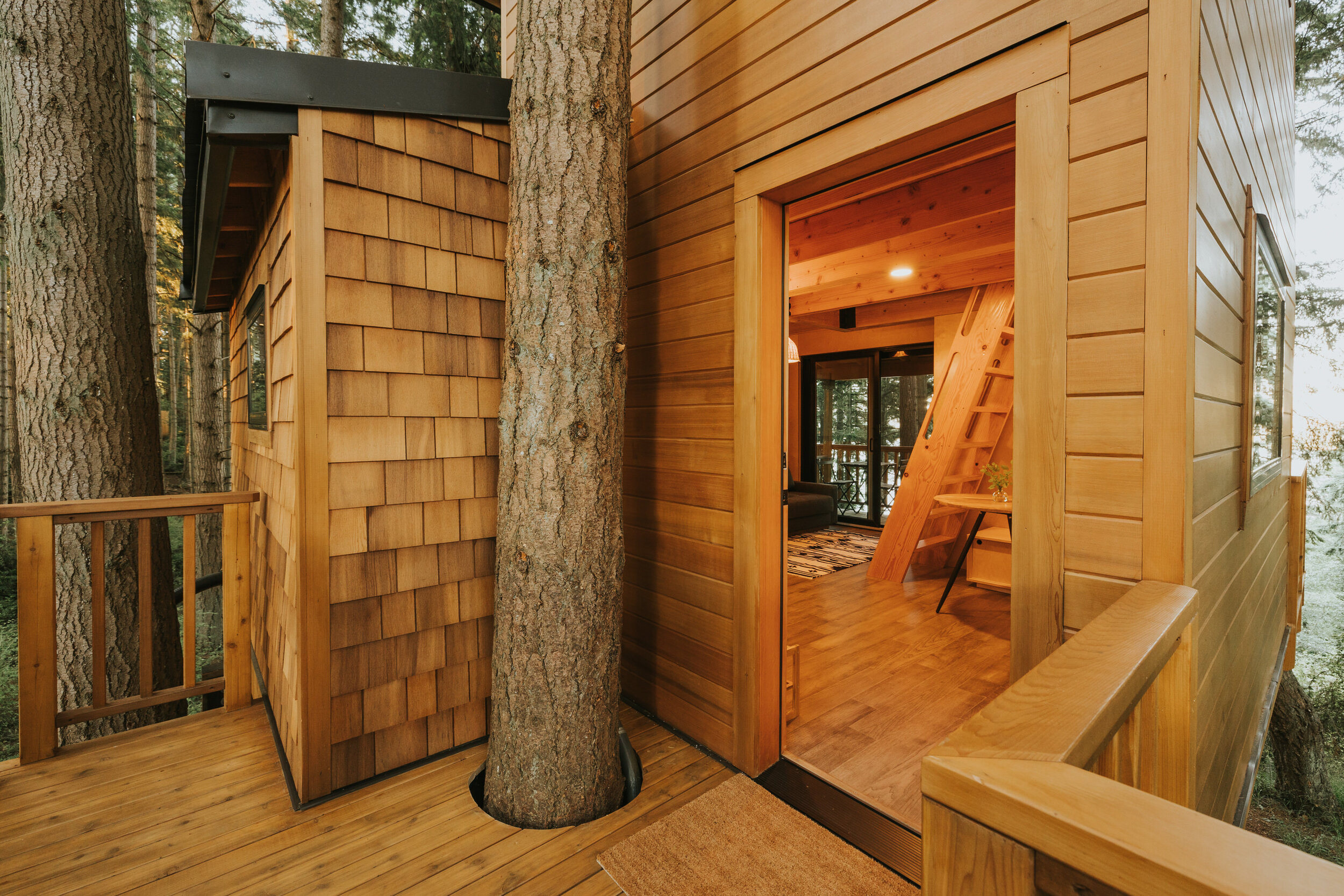 TreehouseWhidbey-15.jpg