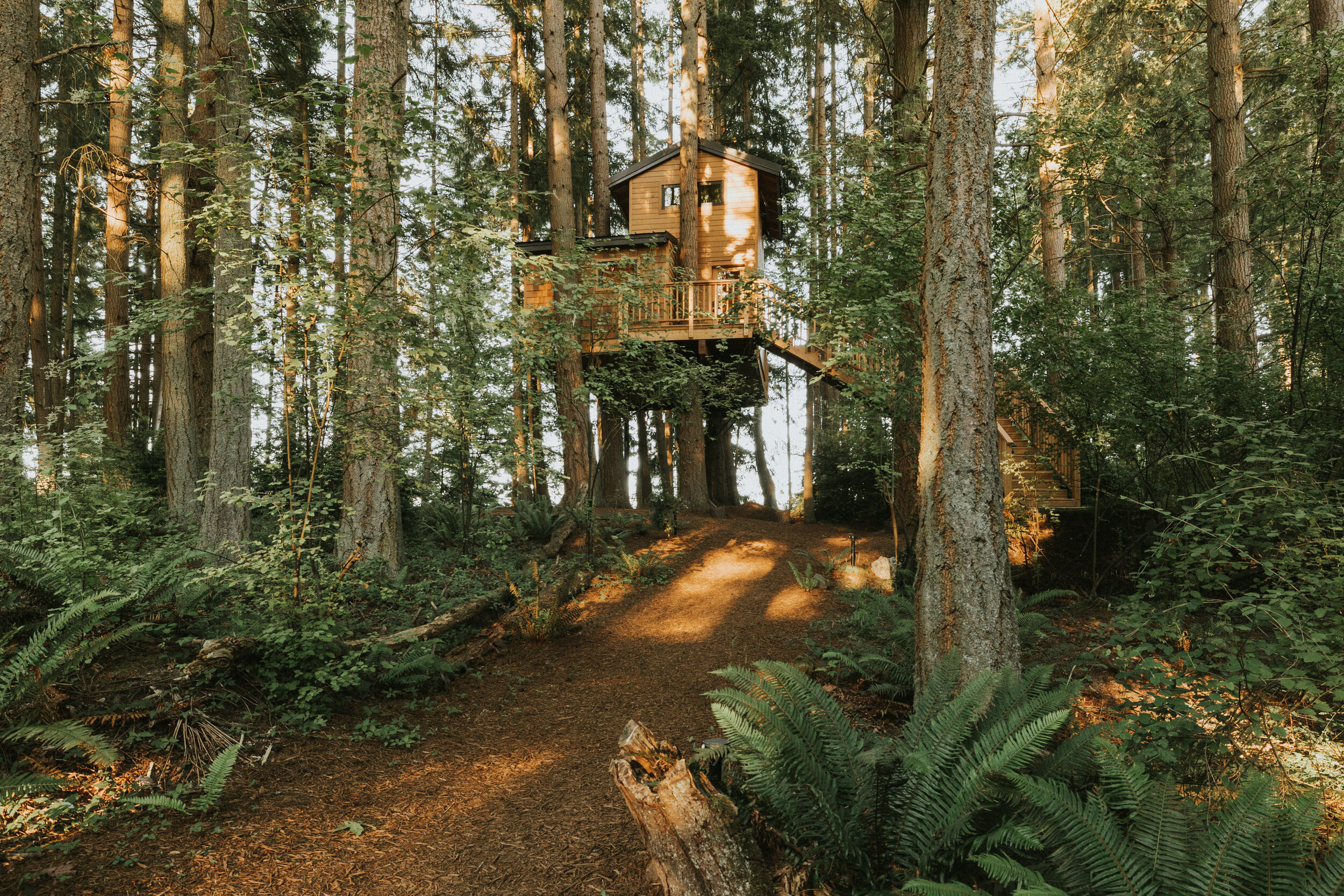 TreehouseWhidbey.jpg