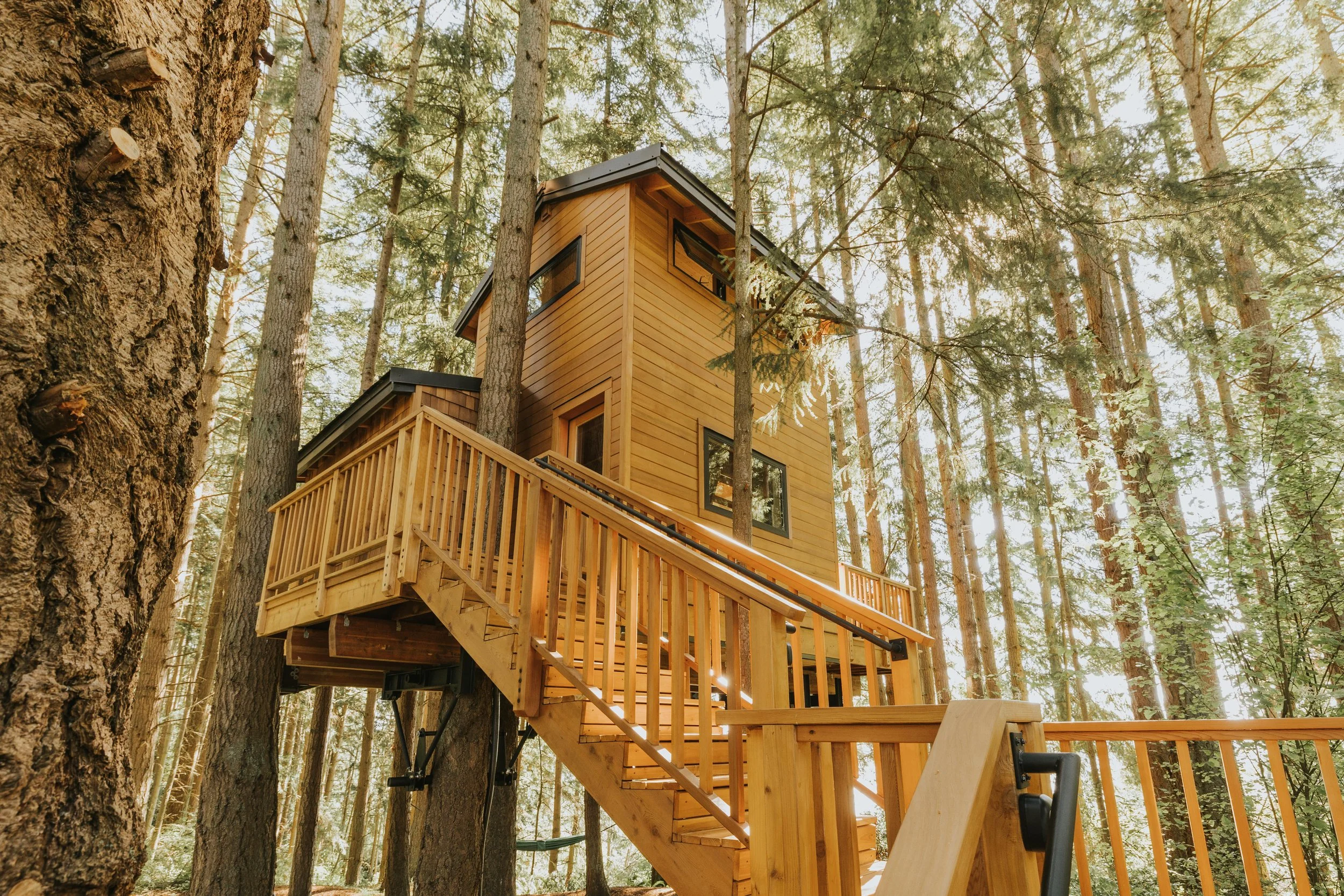 TreehouseWhidbey-19.jpg