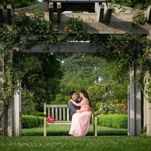 I choose you. And I'll choose you, over and over and over.💖💐
.
Dress and accessories: @allegrasgallery 
Venue: @norfolkbotanicalgarden 
Photographer: @jonlphotography