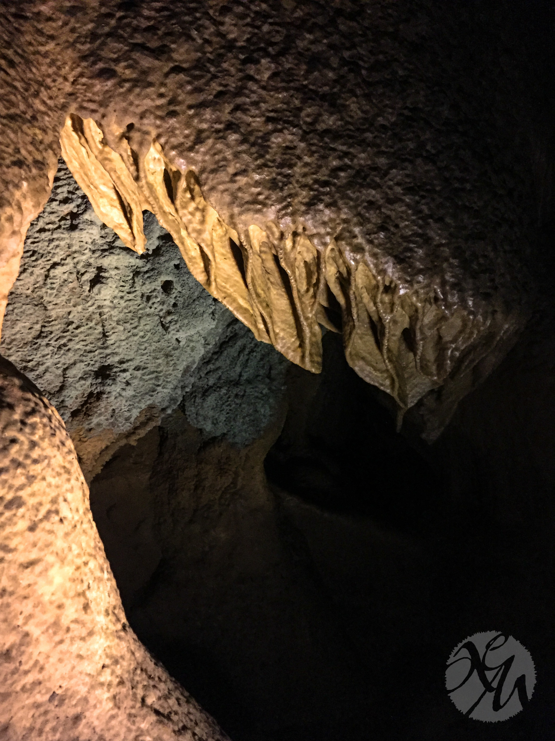 MammothCave-21-aem.jpg