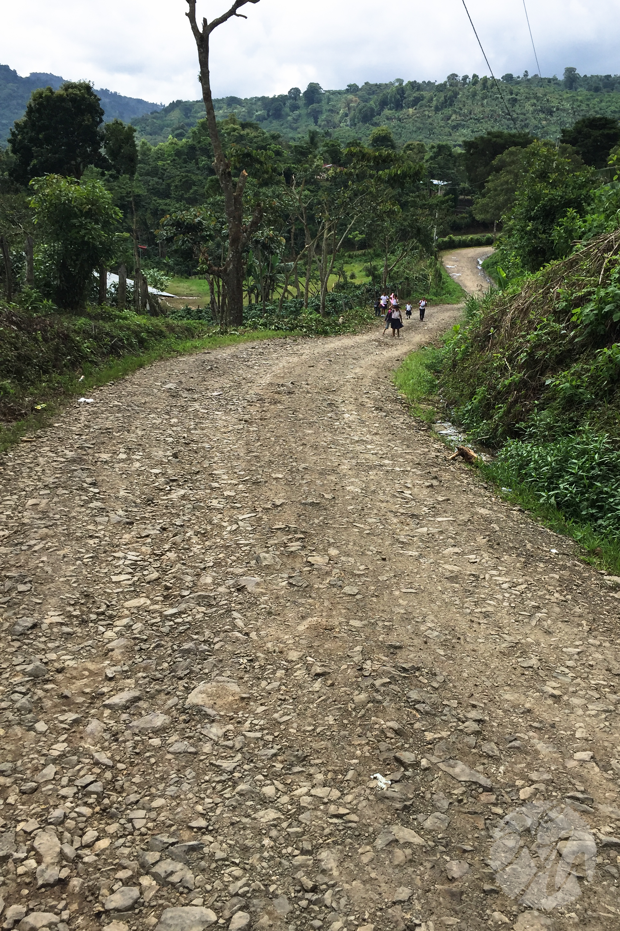 Rocky, steep, mountain roads often required travel by high-clearance vehicle, four-legged animal, or your own two feet.