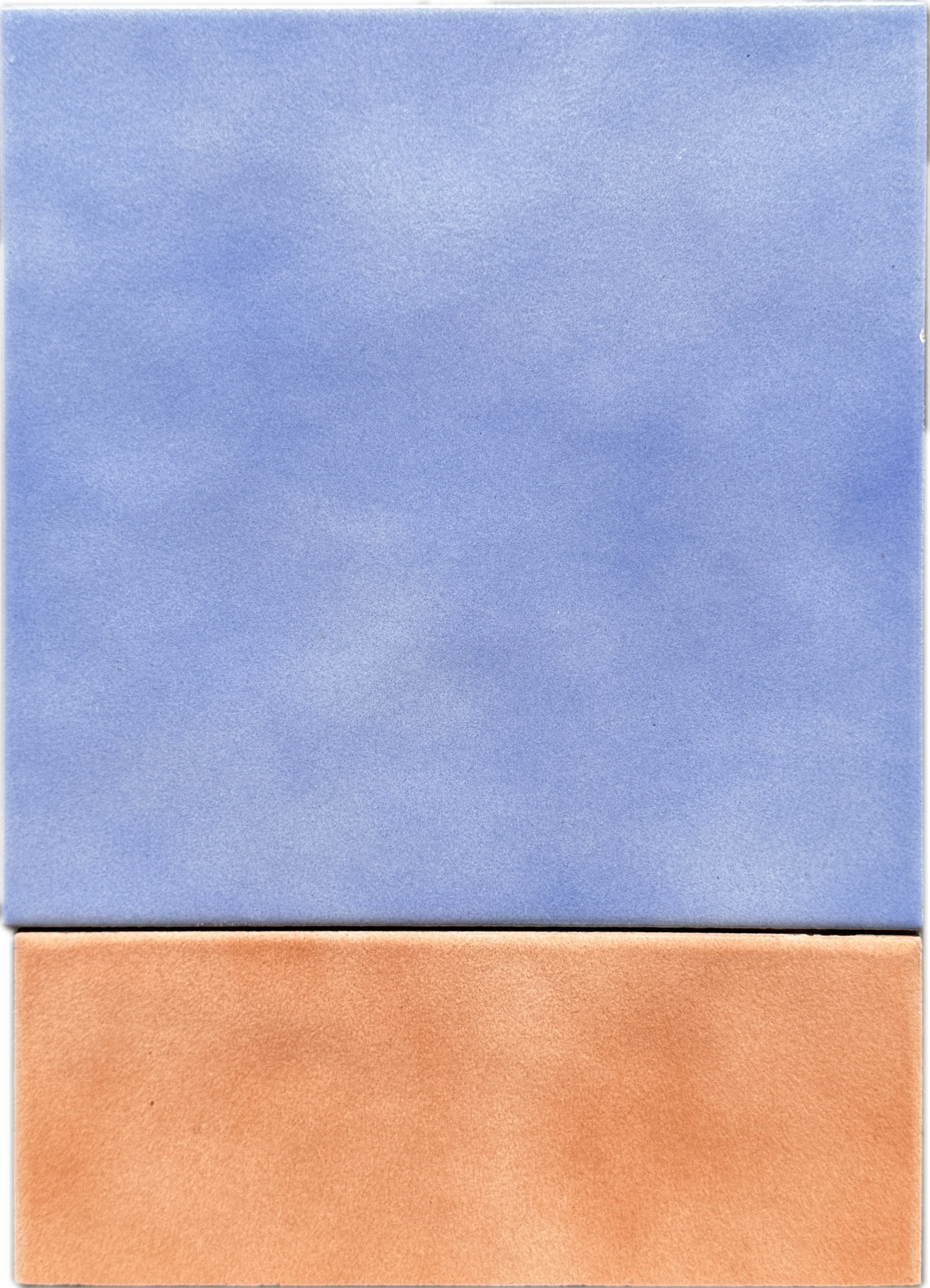 IMG_2169 2.PNG
