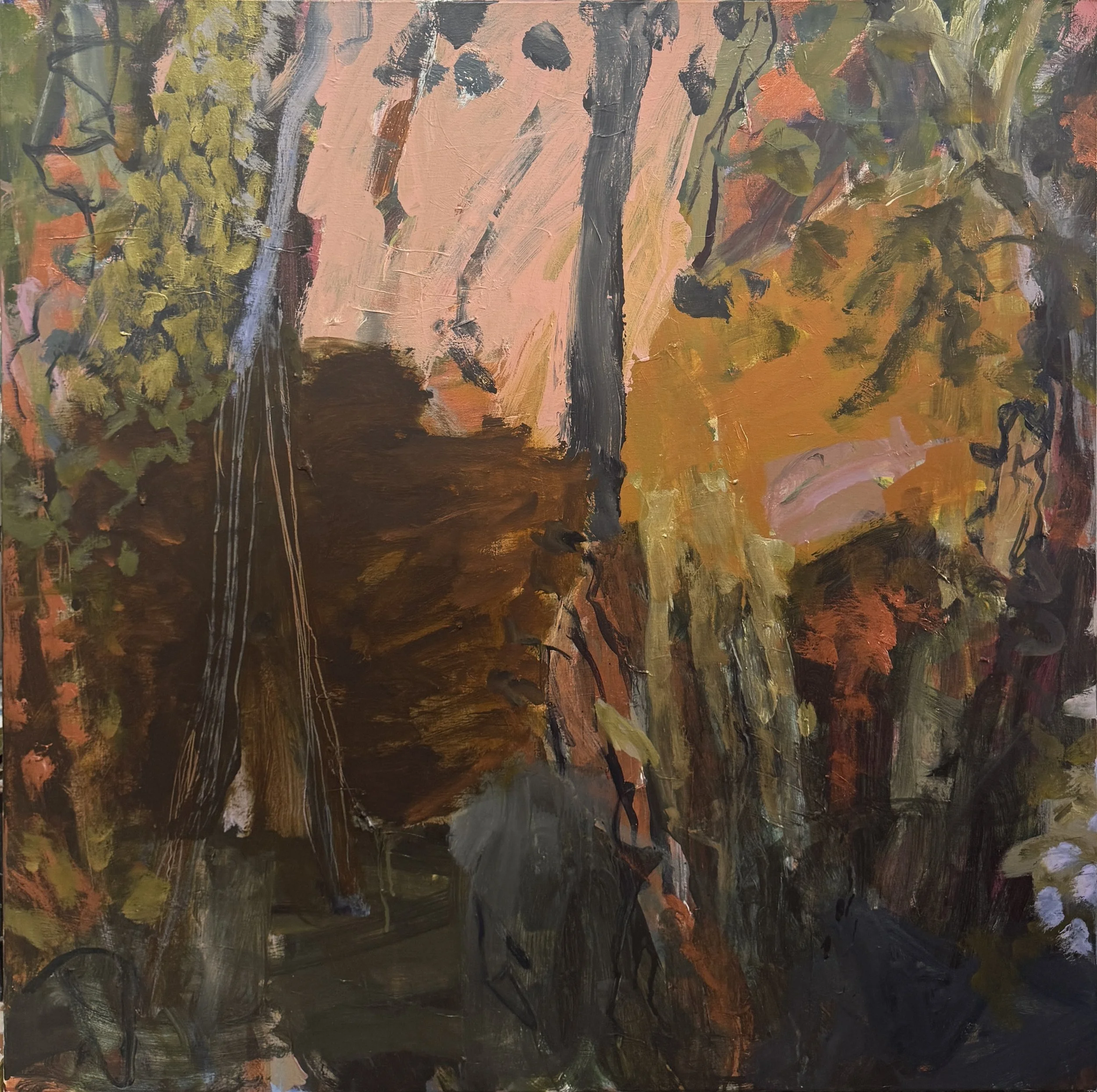 Busy Bush, Alexandra Plim, 122 x 122cm, acrylic on canvas.jpg