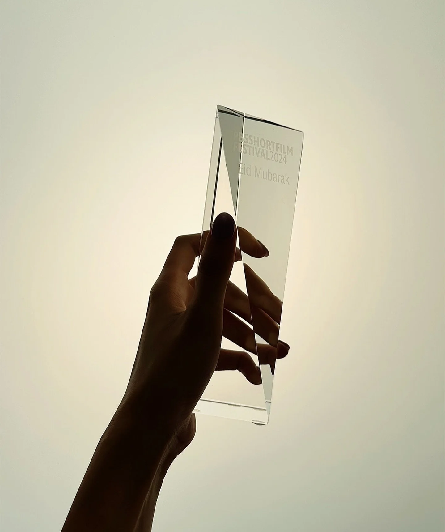 Thank you @pbs for this gorgeous trophy! π  We wouldn’t have gotten this award without @caamedia championing our film. Check out CAAM’s Development & Partnerships Manager, Jonathan Hsieh’s interview with Mahnoor @euceph, writer