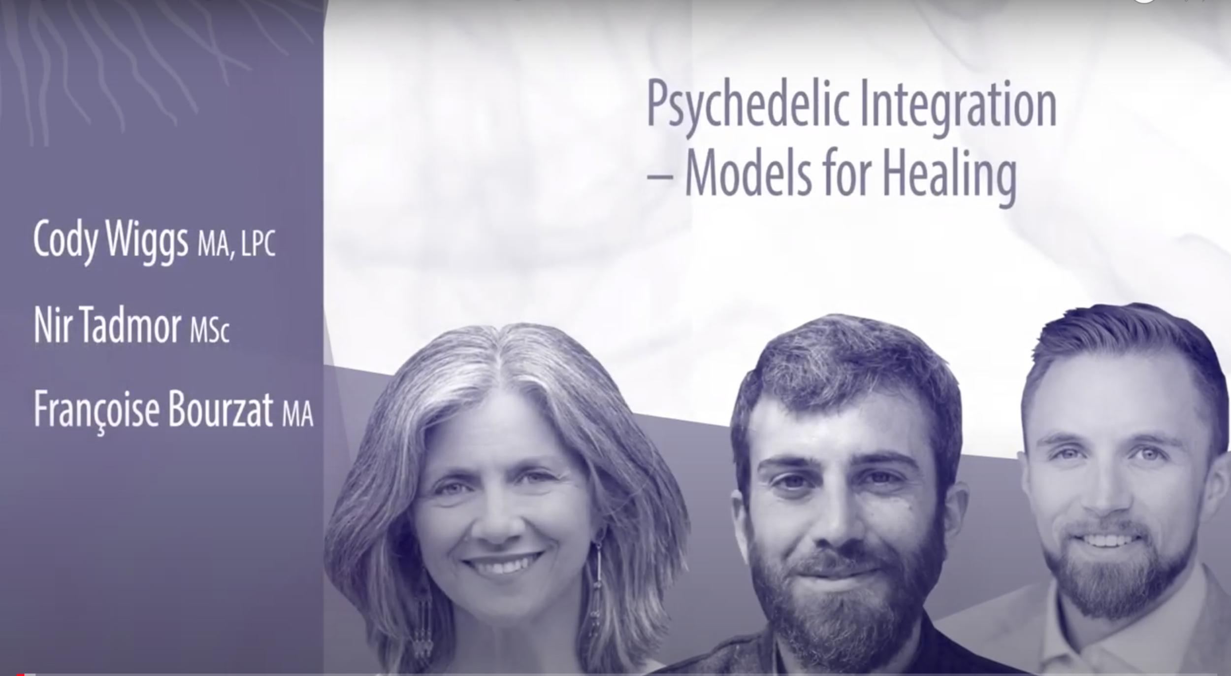 Psychedelic Integration - Models for Healing Panel Discussion