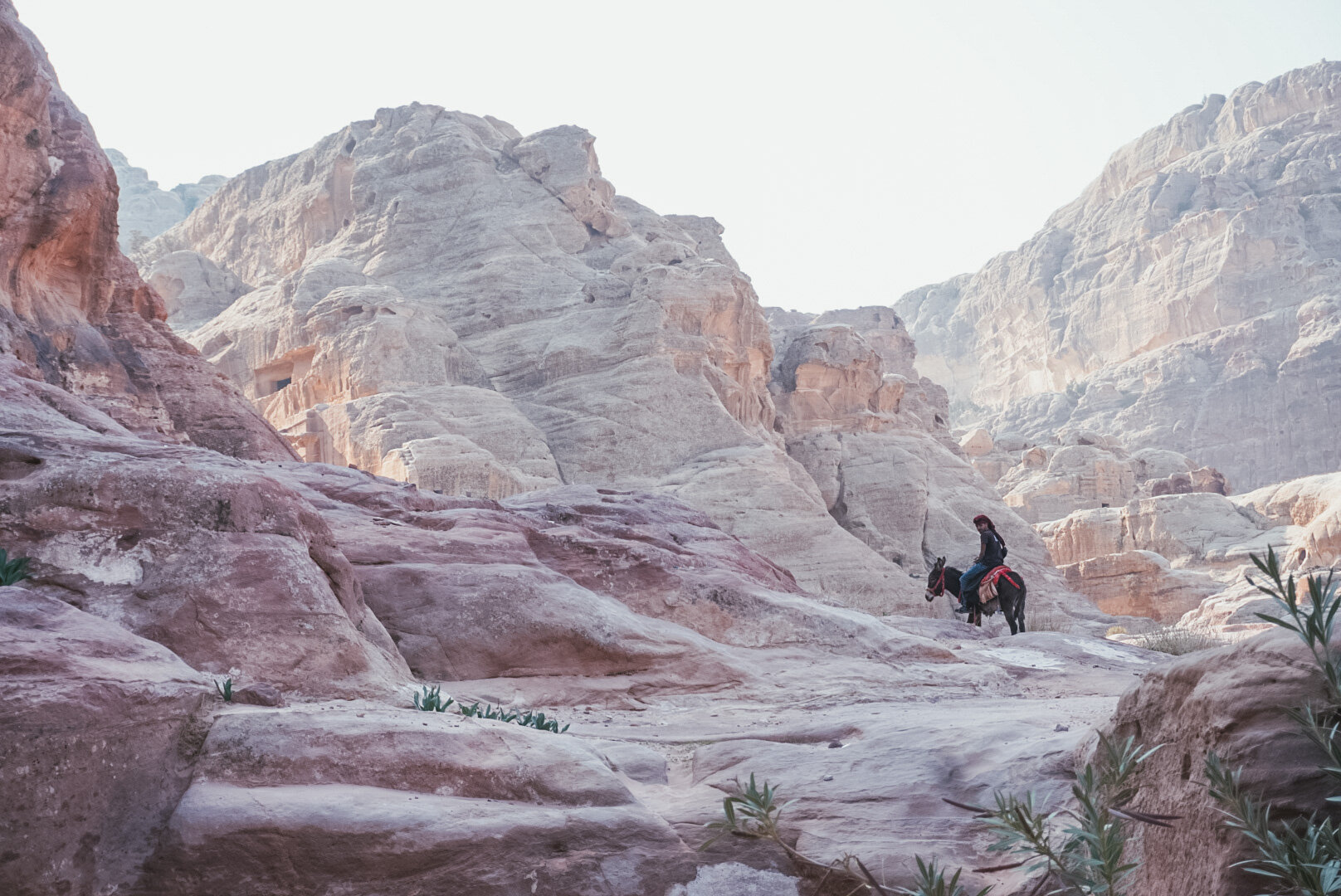  The locals of Petra are just so nice. 