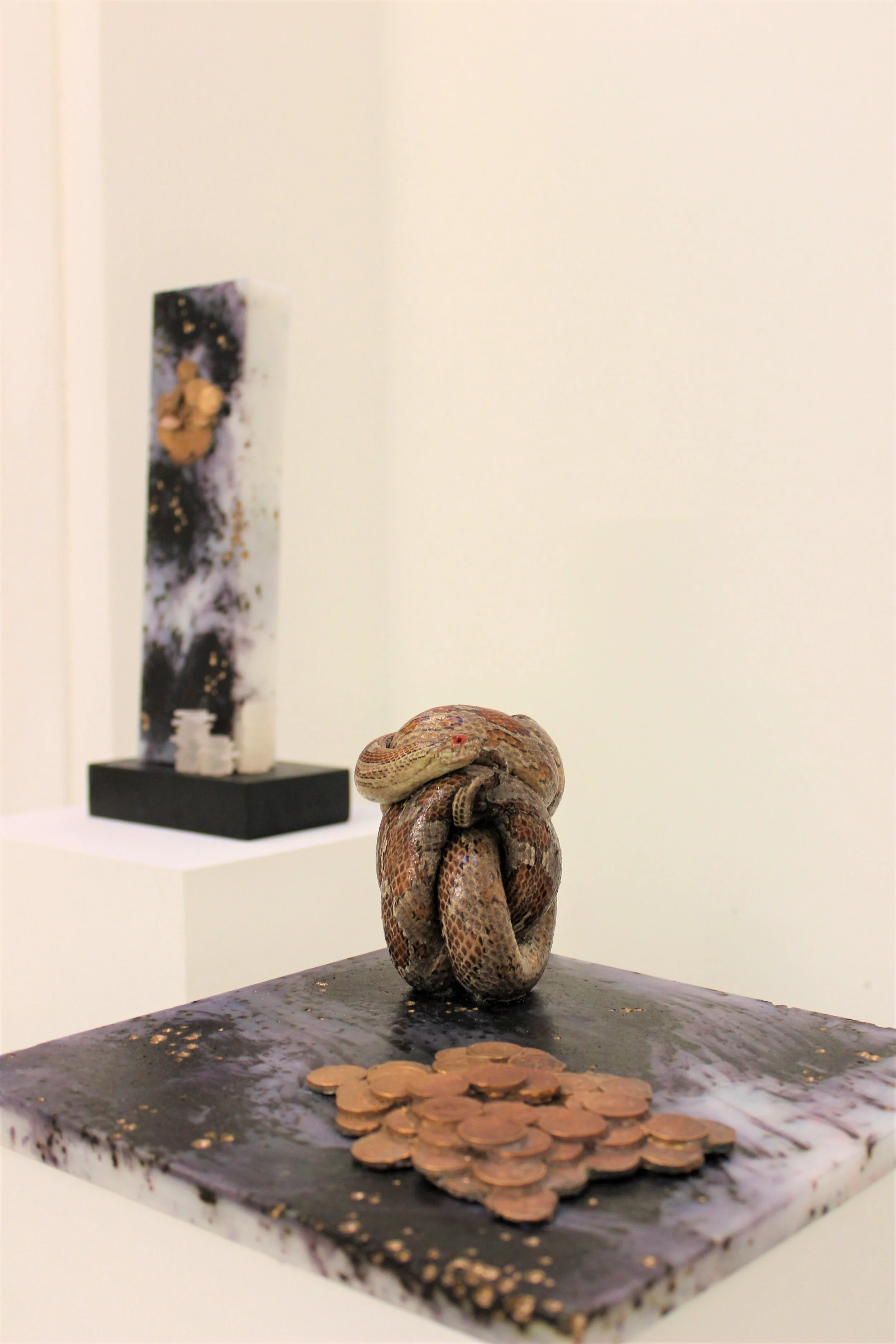 Aporia Exhibition, Barnes' white Space Gallery 2017