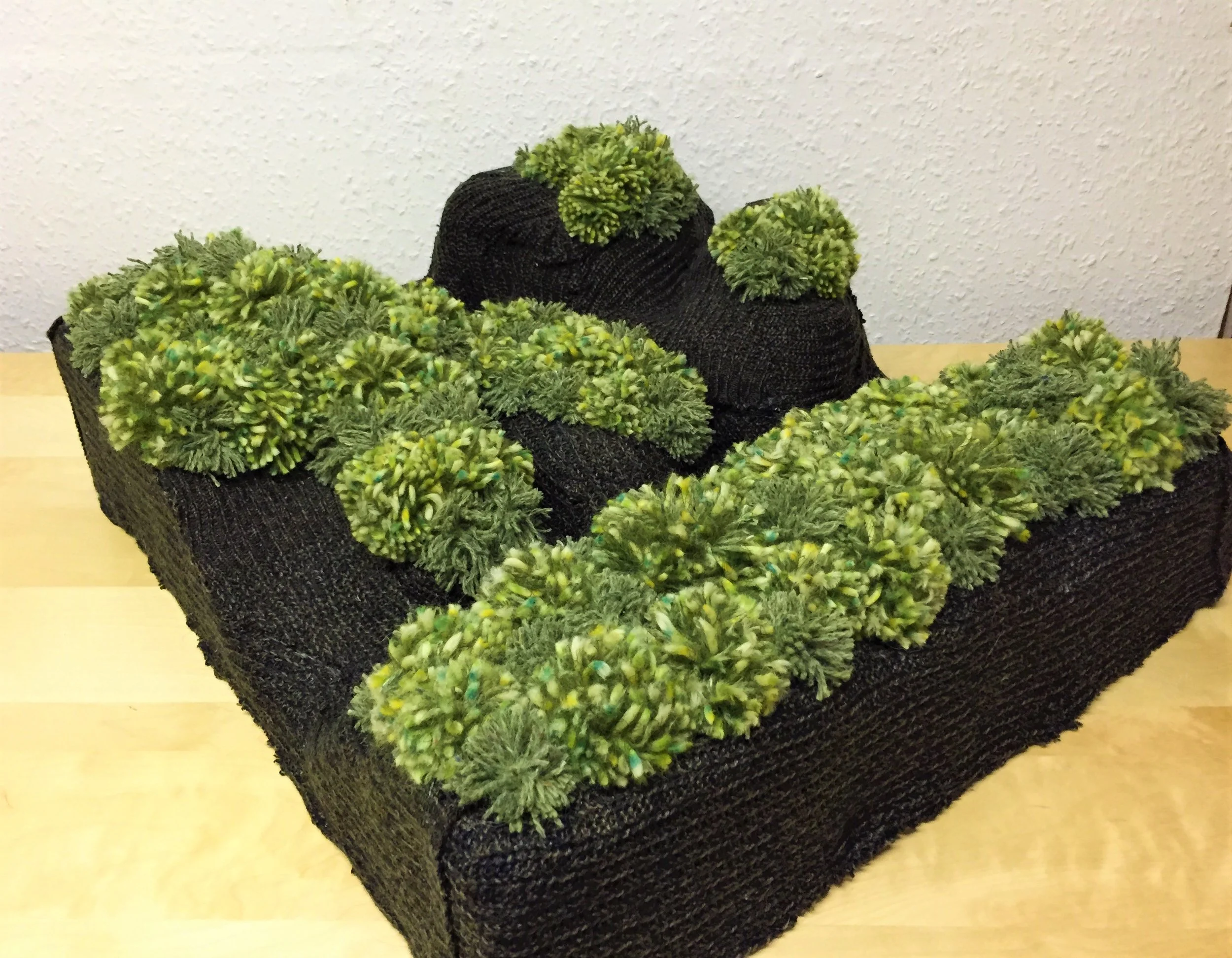 Square of marshland in Skye 