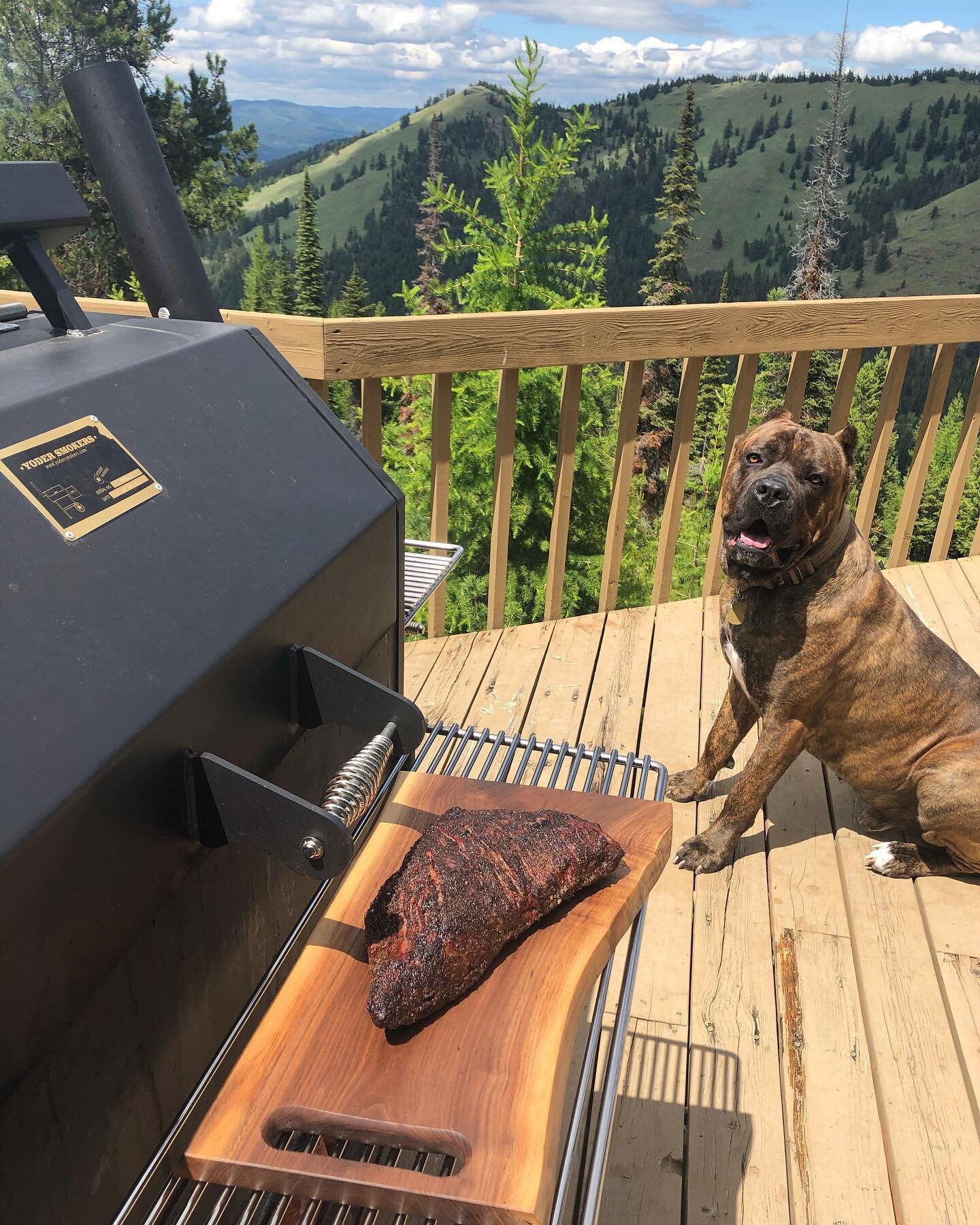 Customer photos are my favorite! Nice piece of wagyu steak, live edge black walnut cutting board, handsome pup and a priceless view!