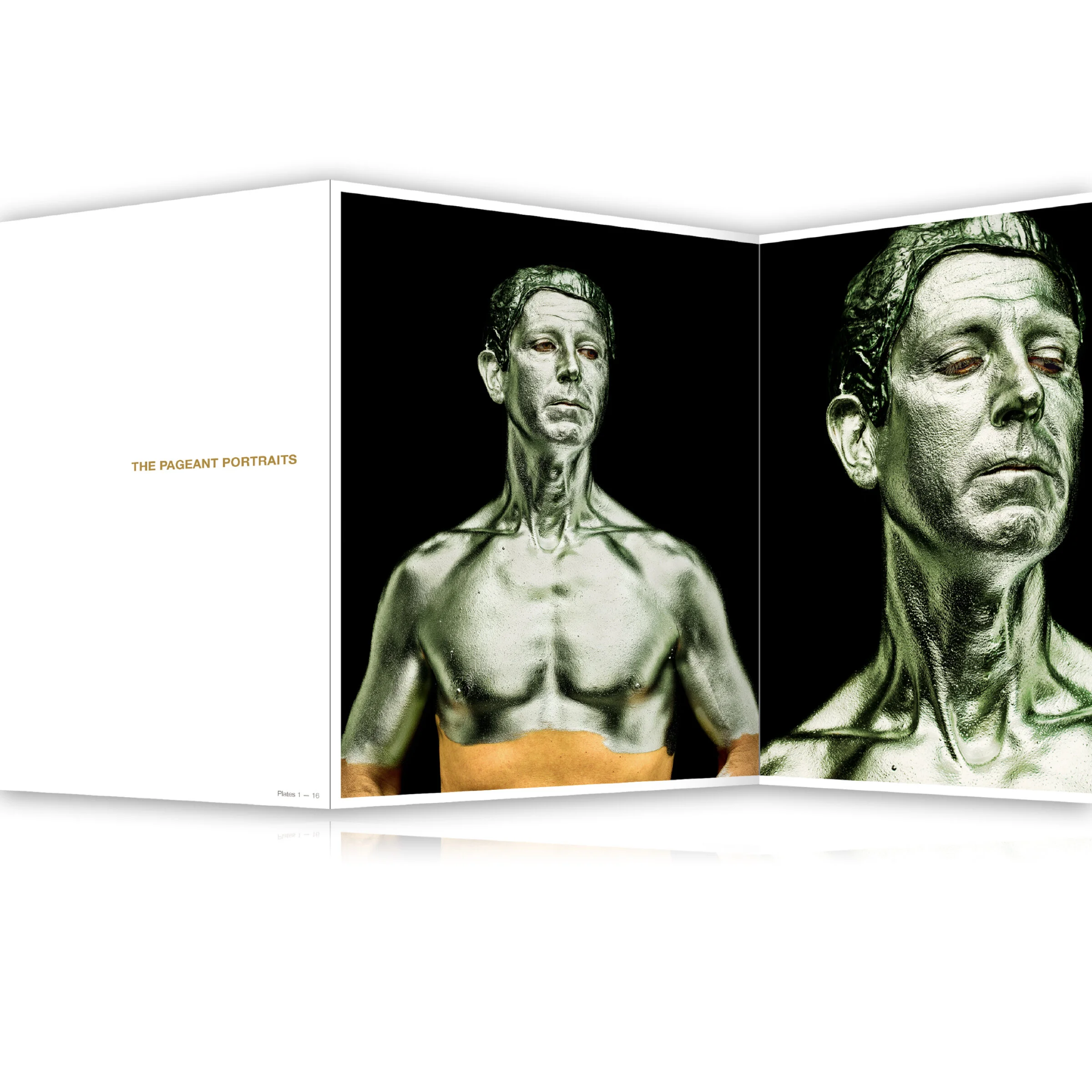 3 Plate Section.jpeg