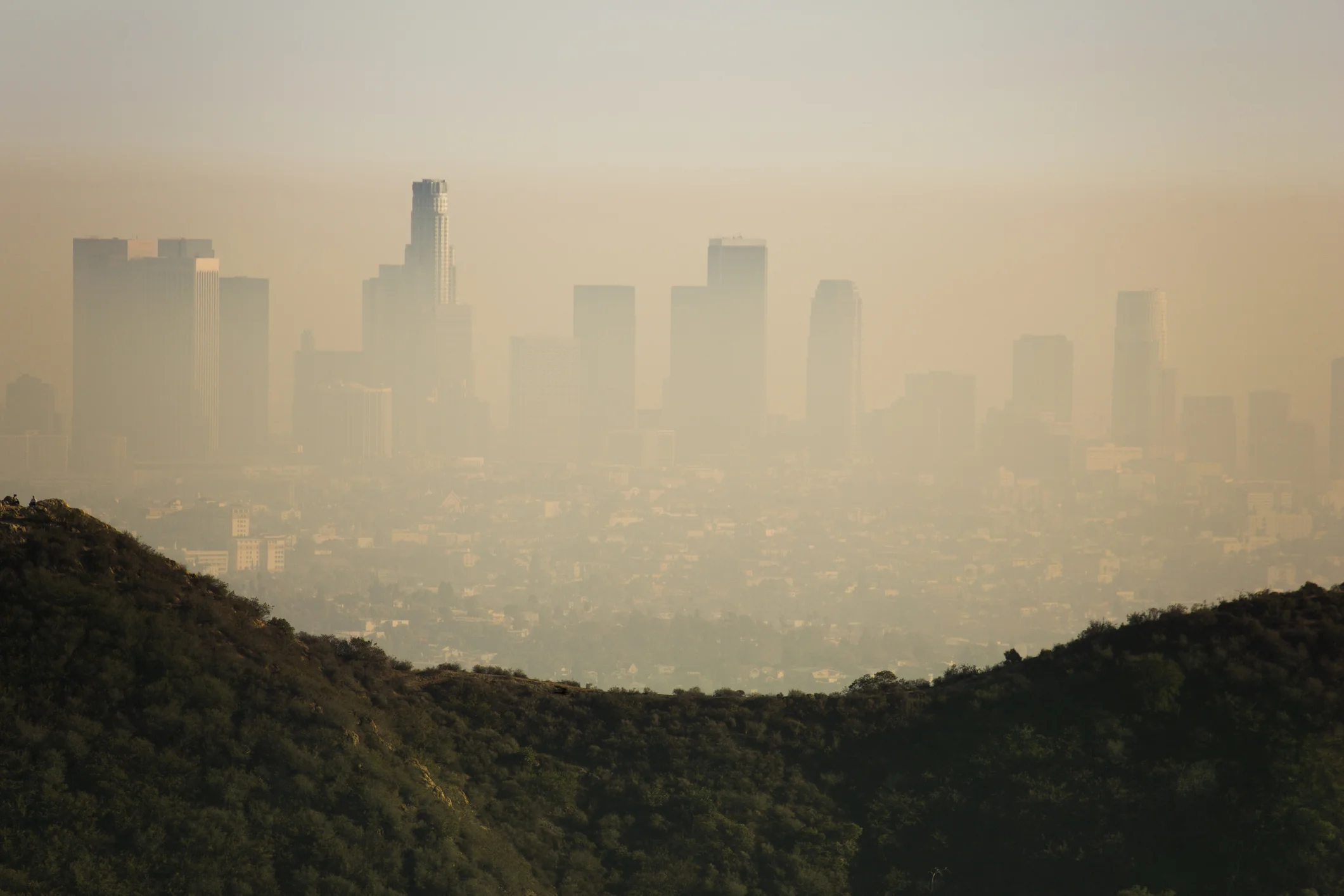 Photo by {artist}/{collectionName} / Getty Images