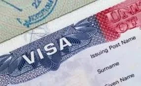 Automobile and Other Motor Vehicle Accidents Business Law Skilled Defense in Traffic Matters Divorce and Separation Wills and Estates Immigration Matters Русский / Russian
