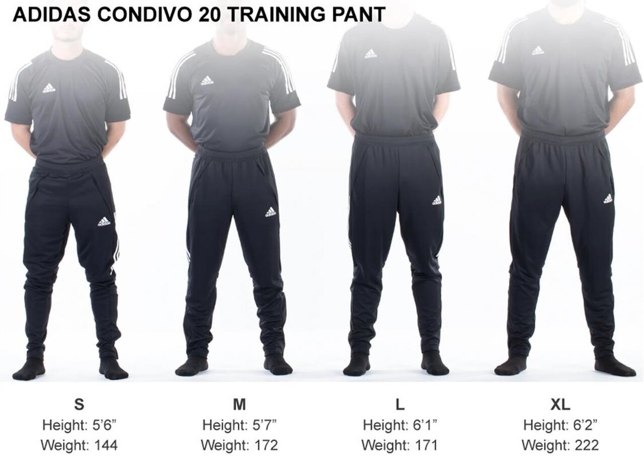 Adidas Mens Training Pants Sizes