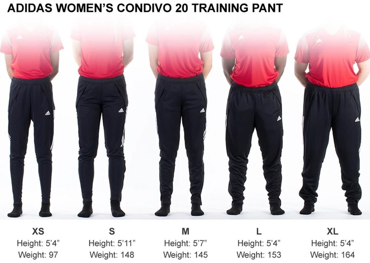 Adidas Womens Training Pants Sizes