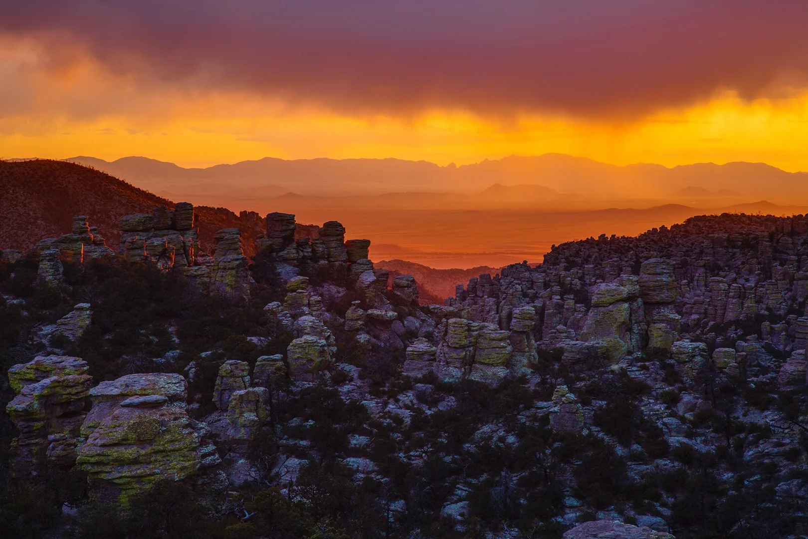 chiricahua.jpg