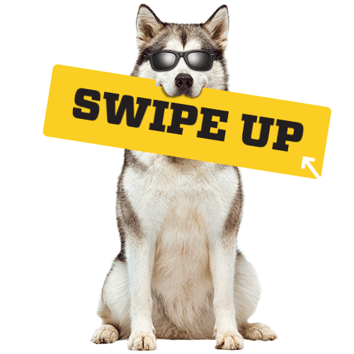 Animated Gifs. GIPHY stickers. Digital animated ads. Social Media marketing. Interactive design. — Ivana Vavakova - Senior Digital & Print Graphic Designer Animated Gifs. GIPHY stickers. Digital animated ads. Social Media marketing. Interactive design. — Ivana Vavakova - Senior Digital & Print Graphic Designer