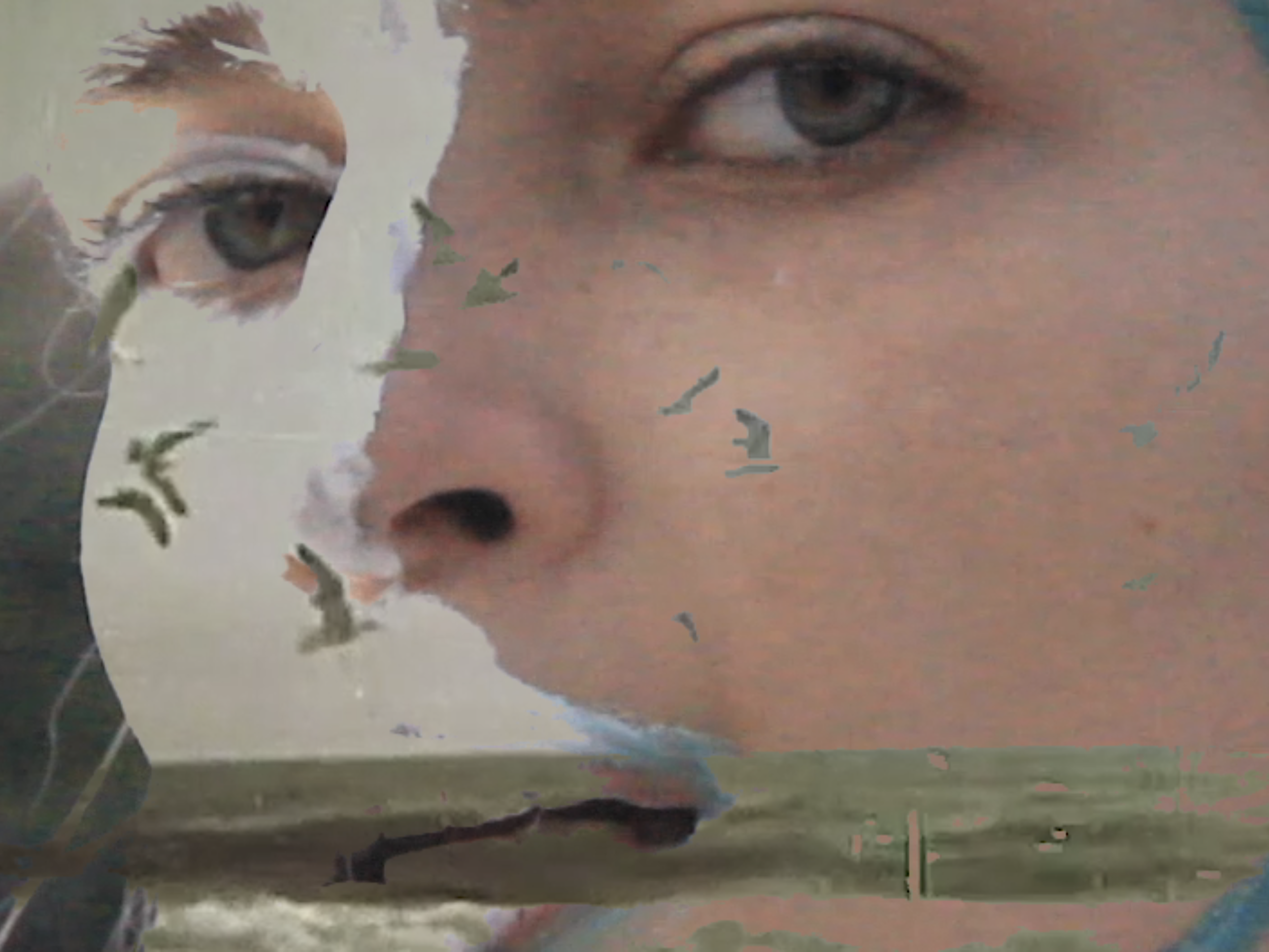 Screen Shot 2020-03-06 at 12.50.01 PM.png