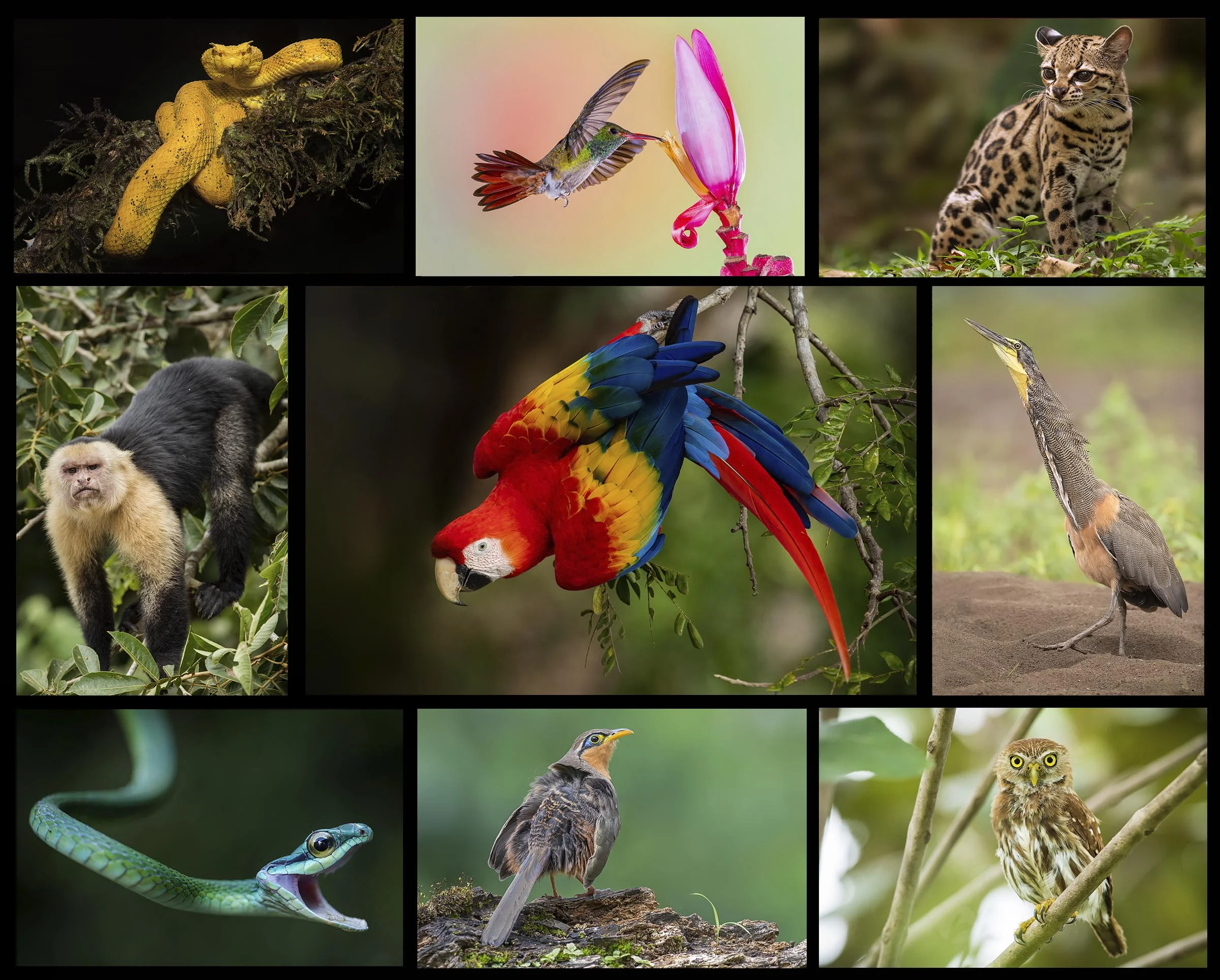 costarica_itinerary2_tn.jpg