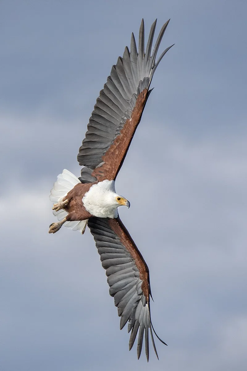 DSC_9784.JPG