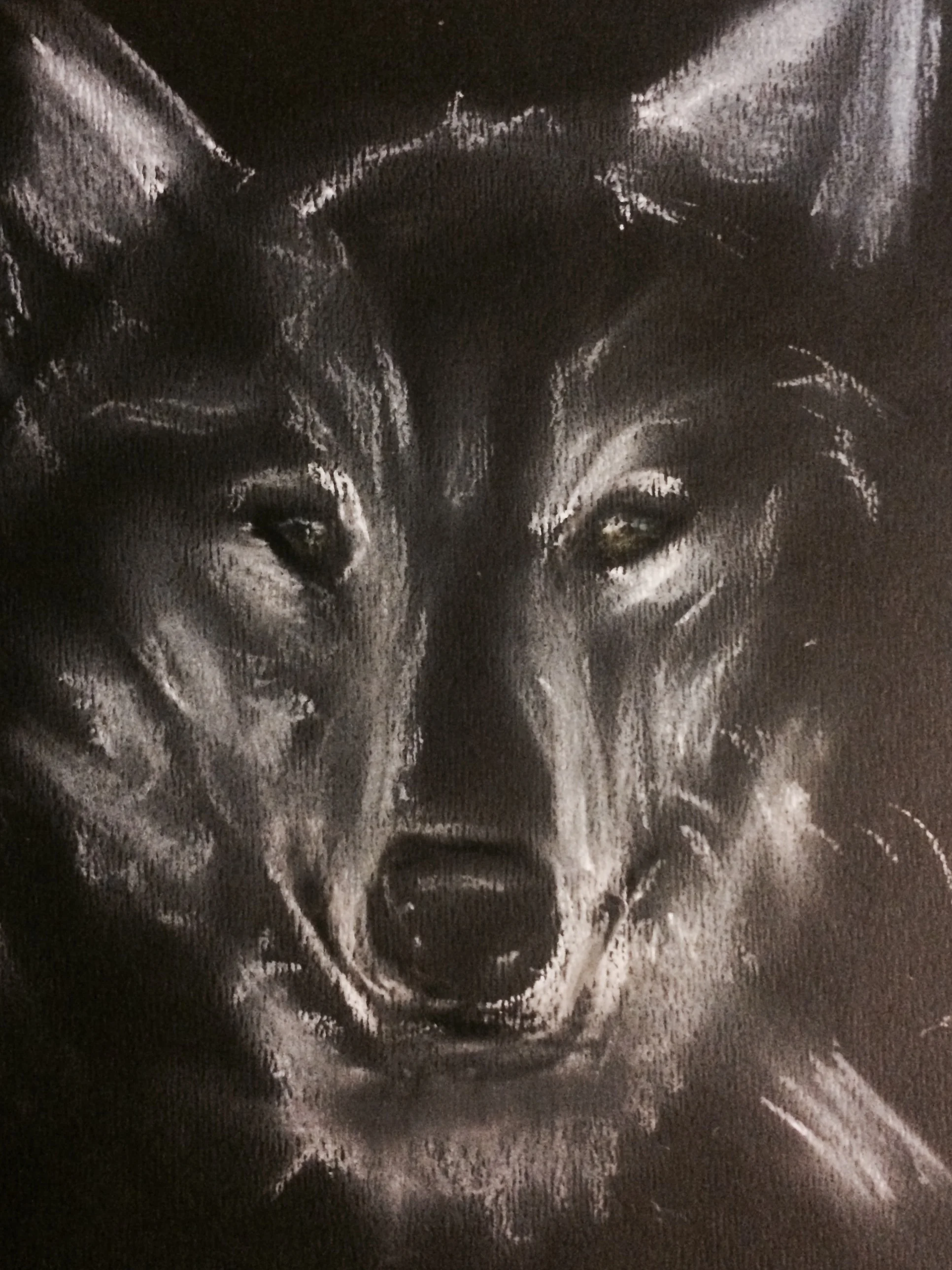 Wolf