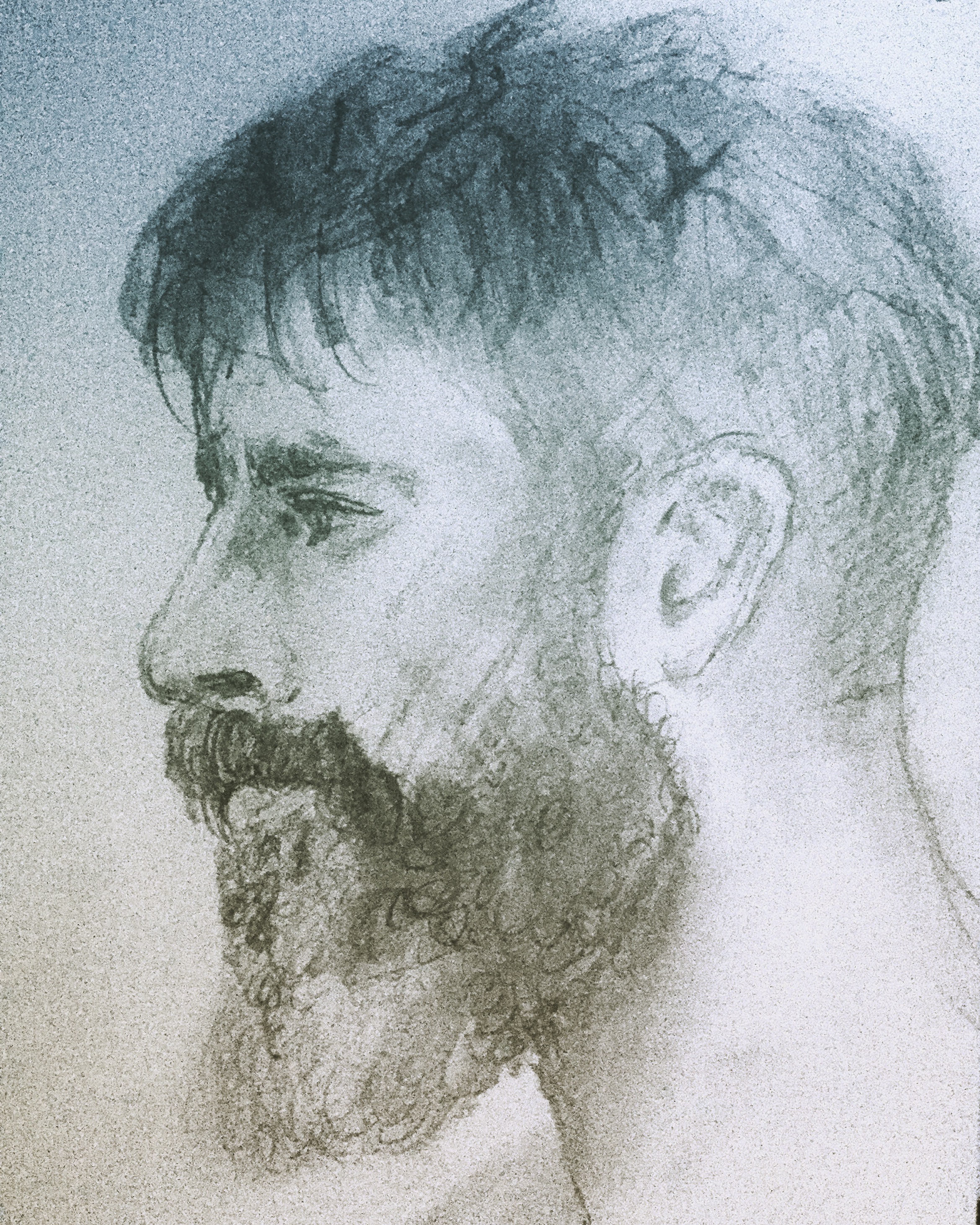 Bearded Man in Profile