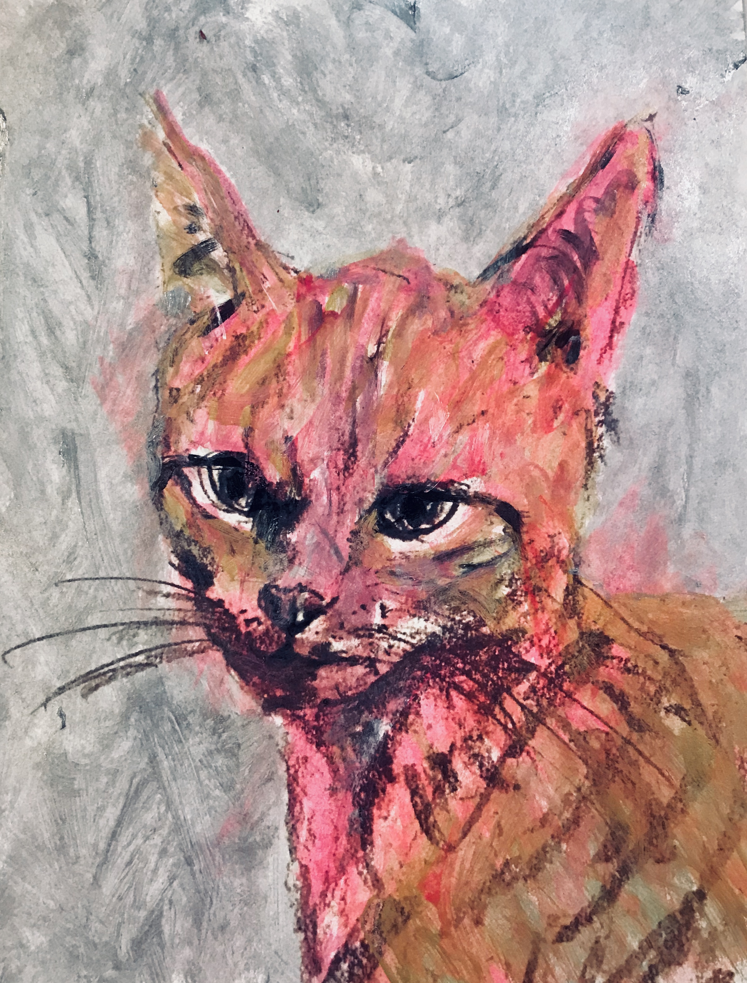 Kitten as Pop Icon