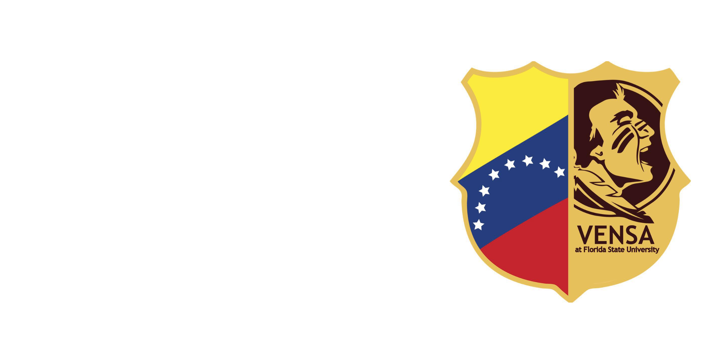 vensa banner.png