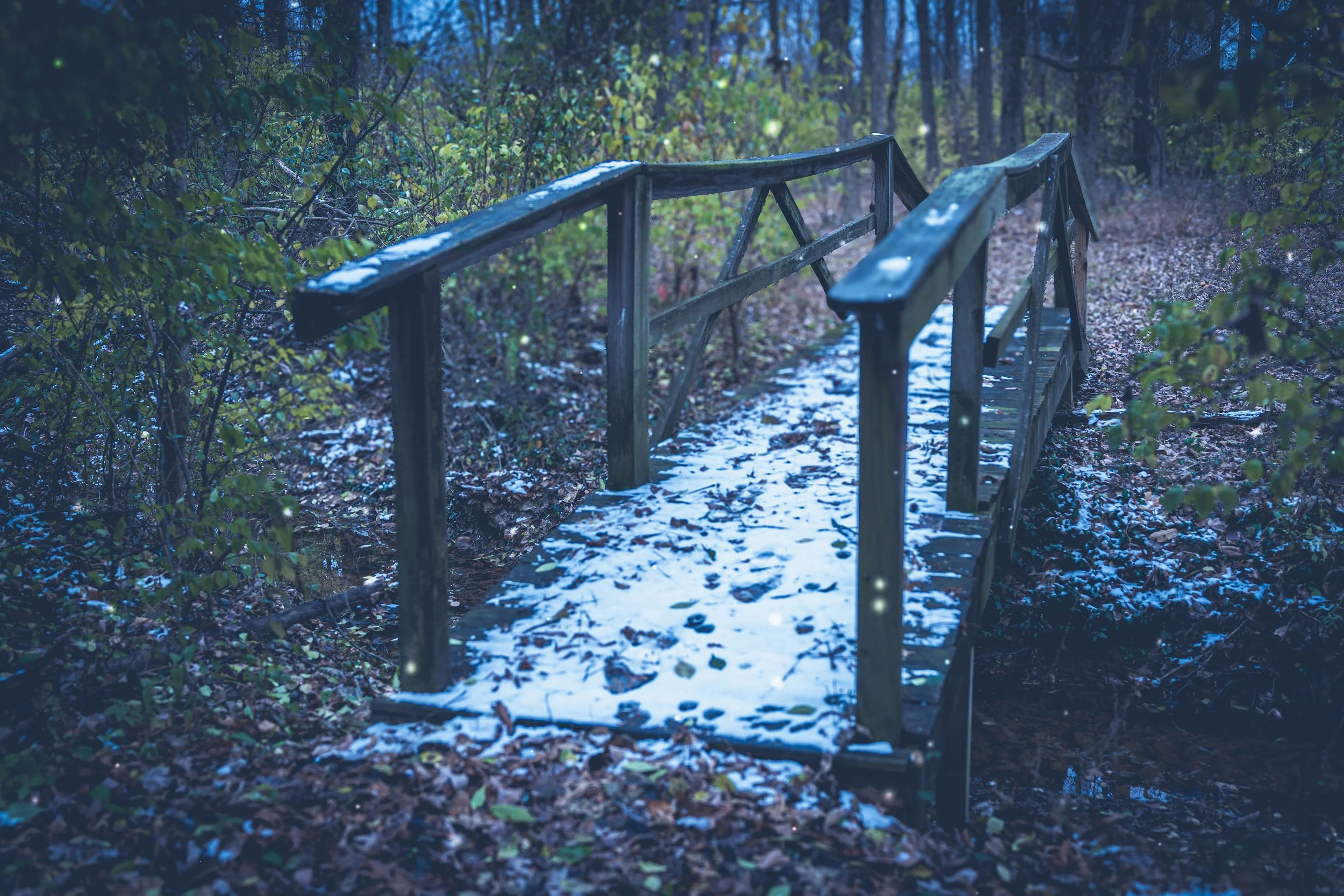 Old HIking Bridge.jpg