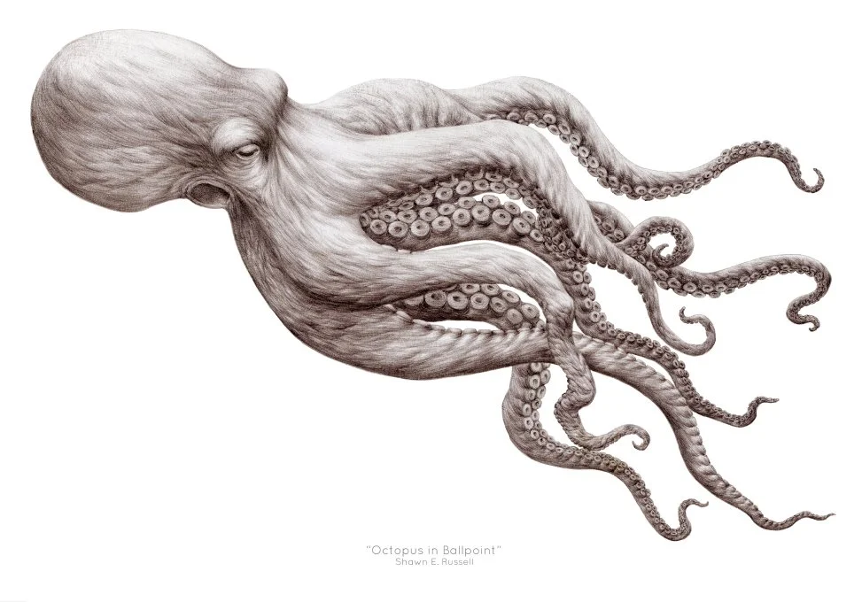 wildlife — Shawn E. Russell