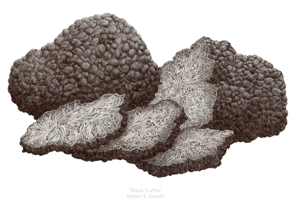 wildlife — Shawn E. Russell