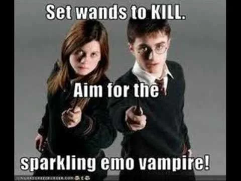 This was a quality meme in 2007.