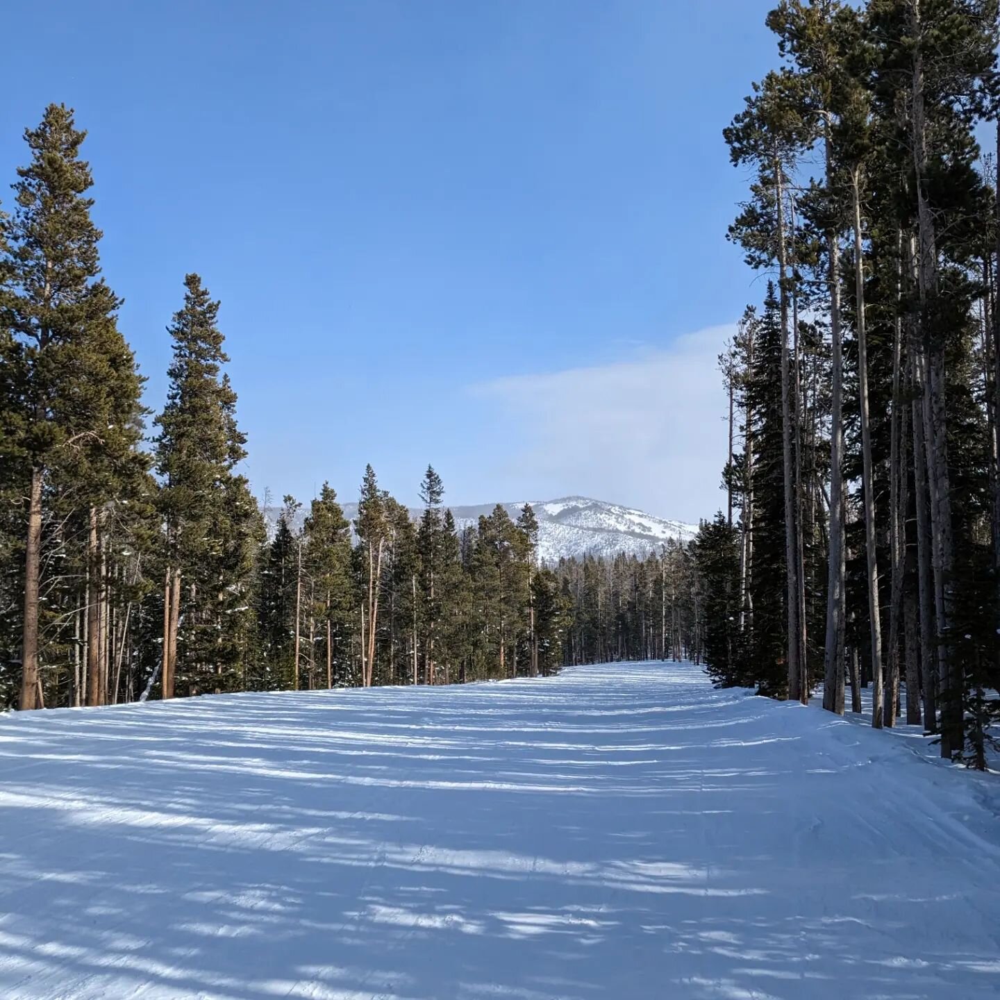 I'm just here for the chicken sandwiches (and good company) ⛷️ #shredthegnar #seeyouatsnowy