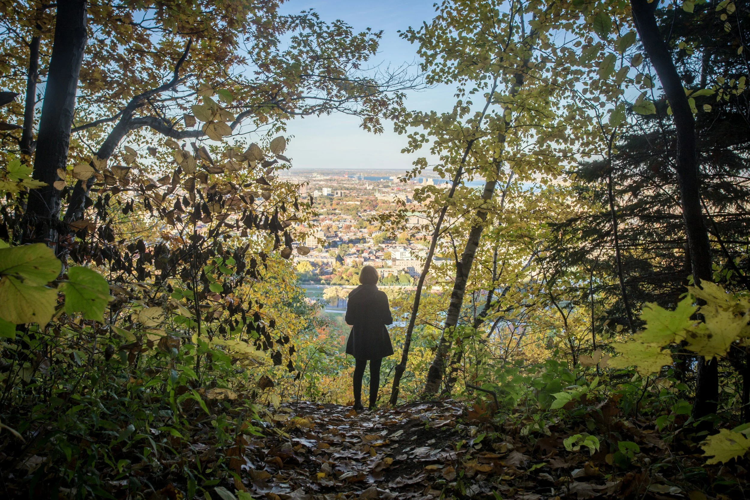 Back of a person staring into a busy city scape from the safety of trees and nature
