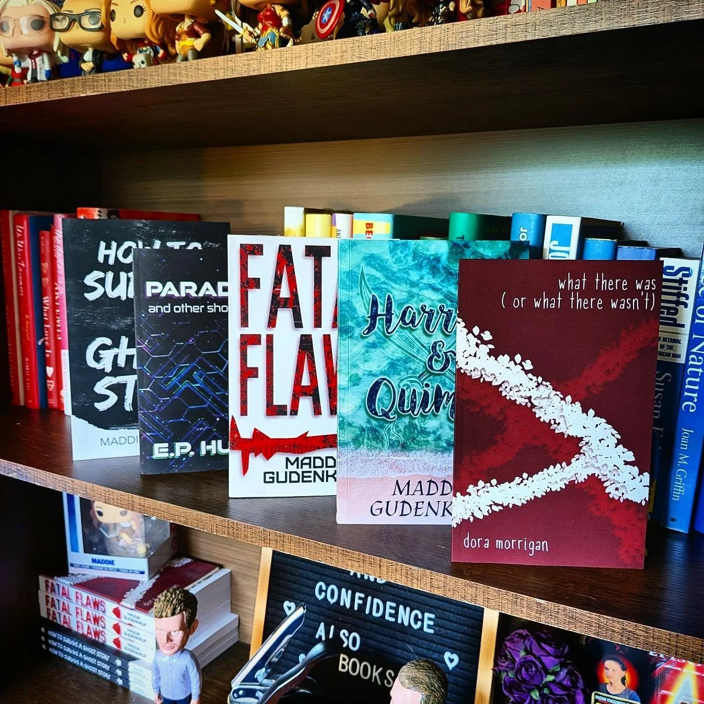 Looking for a good book for #nationalreadabookday and want to support some indie authors? Luckily, I've got a great catalog of indie published books for your reading pleasure! 📖

👻 "How to Survive a Ghost Story" by Maddie Gudenkauf is a n