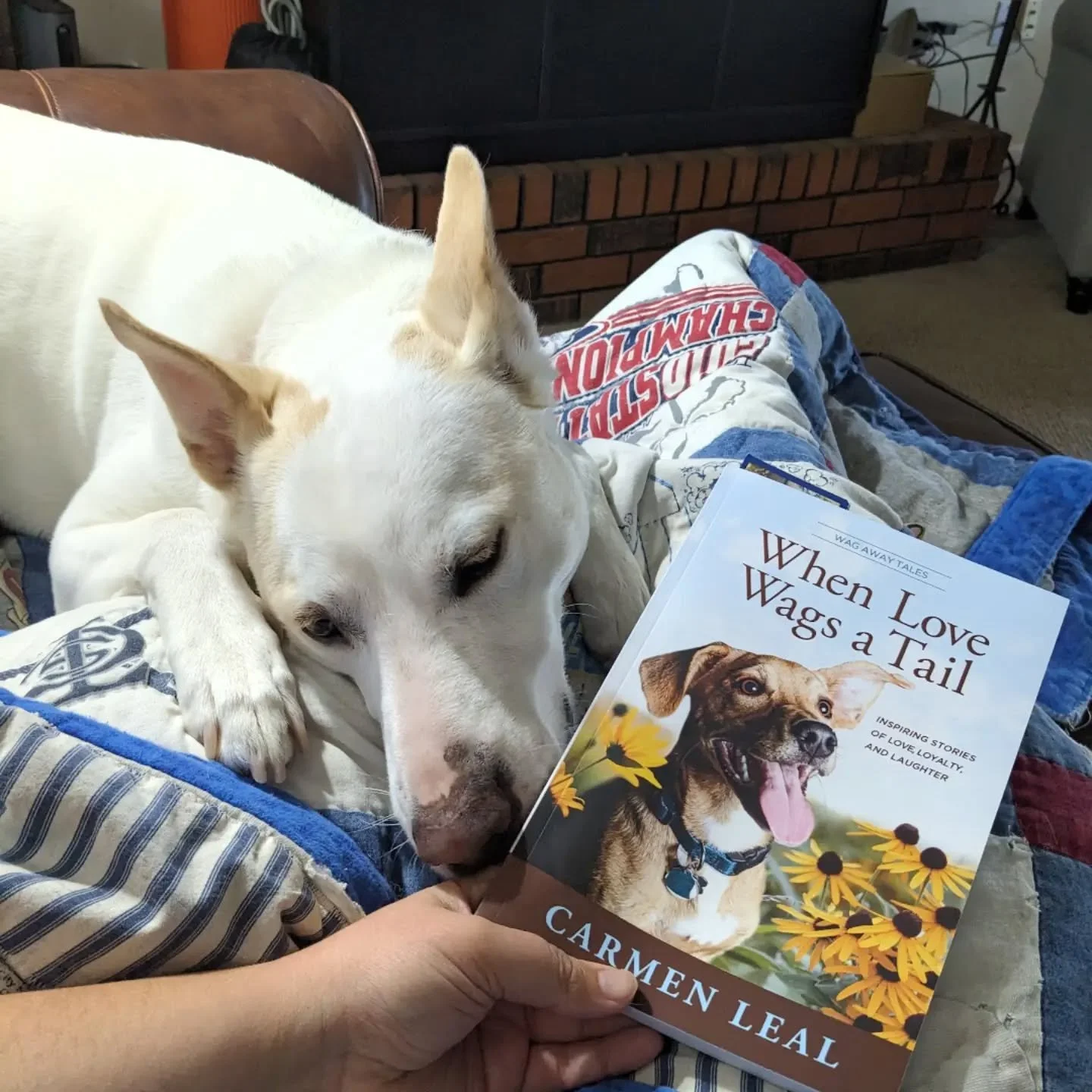 Happy #nationaldogday to my co-publisher and favorite reading pal, Mollie!!! She is truly the goodest girl. She is also an absolute weirdo, but she's just the best pup to snuggle with during reading time and always loves our adventures to the library