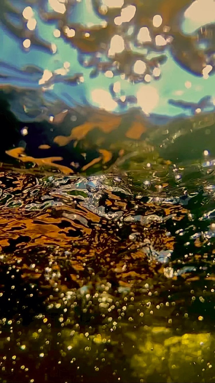 Close-up of a water surface with sunlight reflection and bubbles.