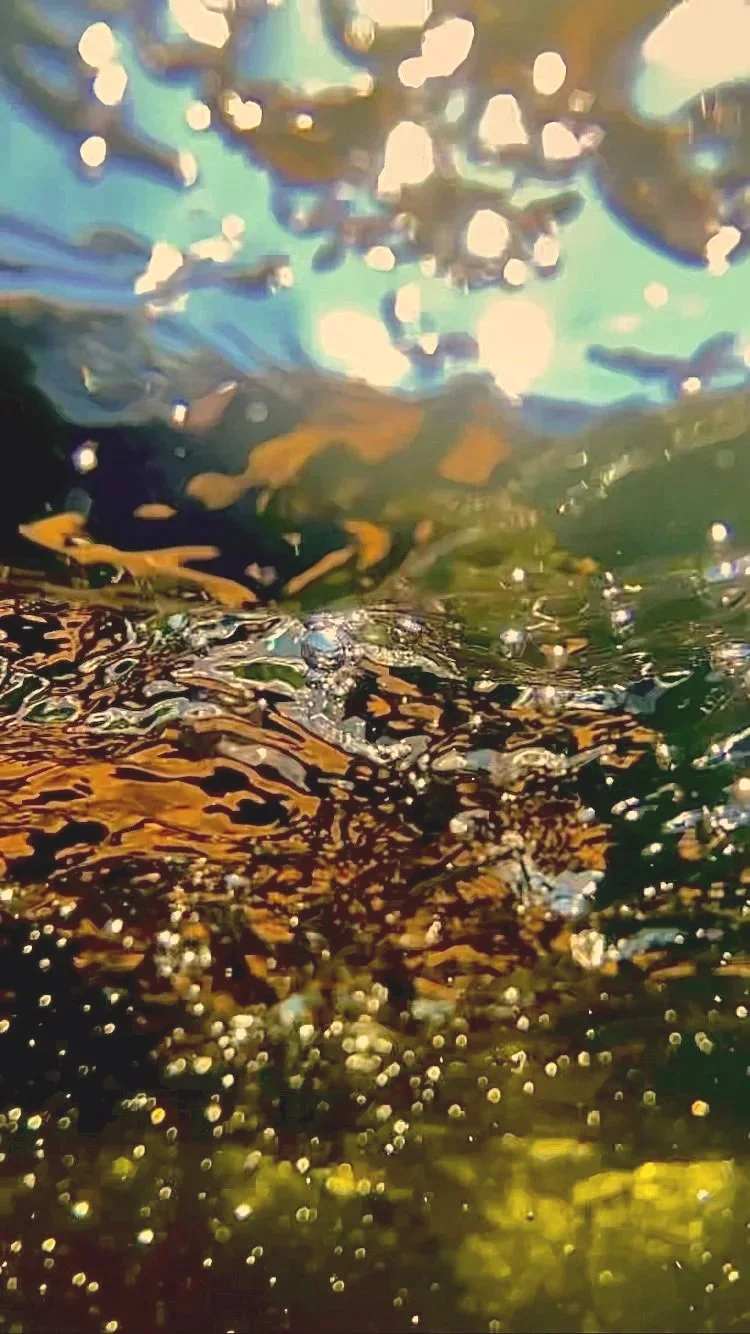 close up of underwater bubbles