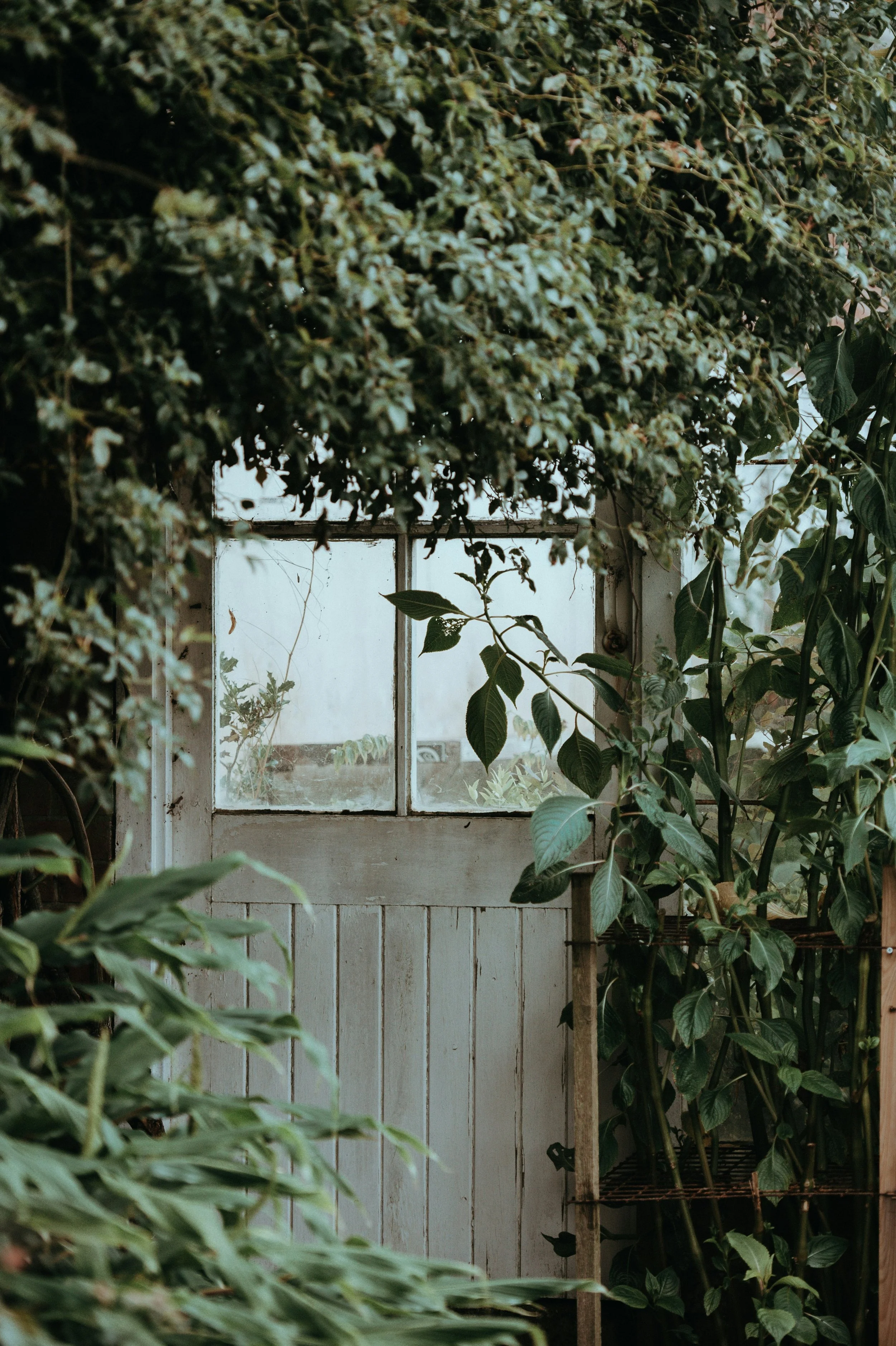 annie-spratt-p3lN7C0s3vA-unsplash.jpg