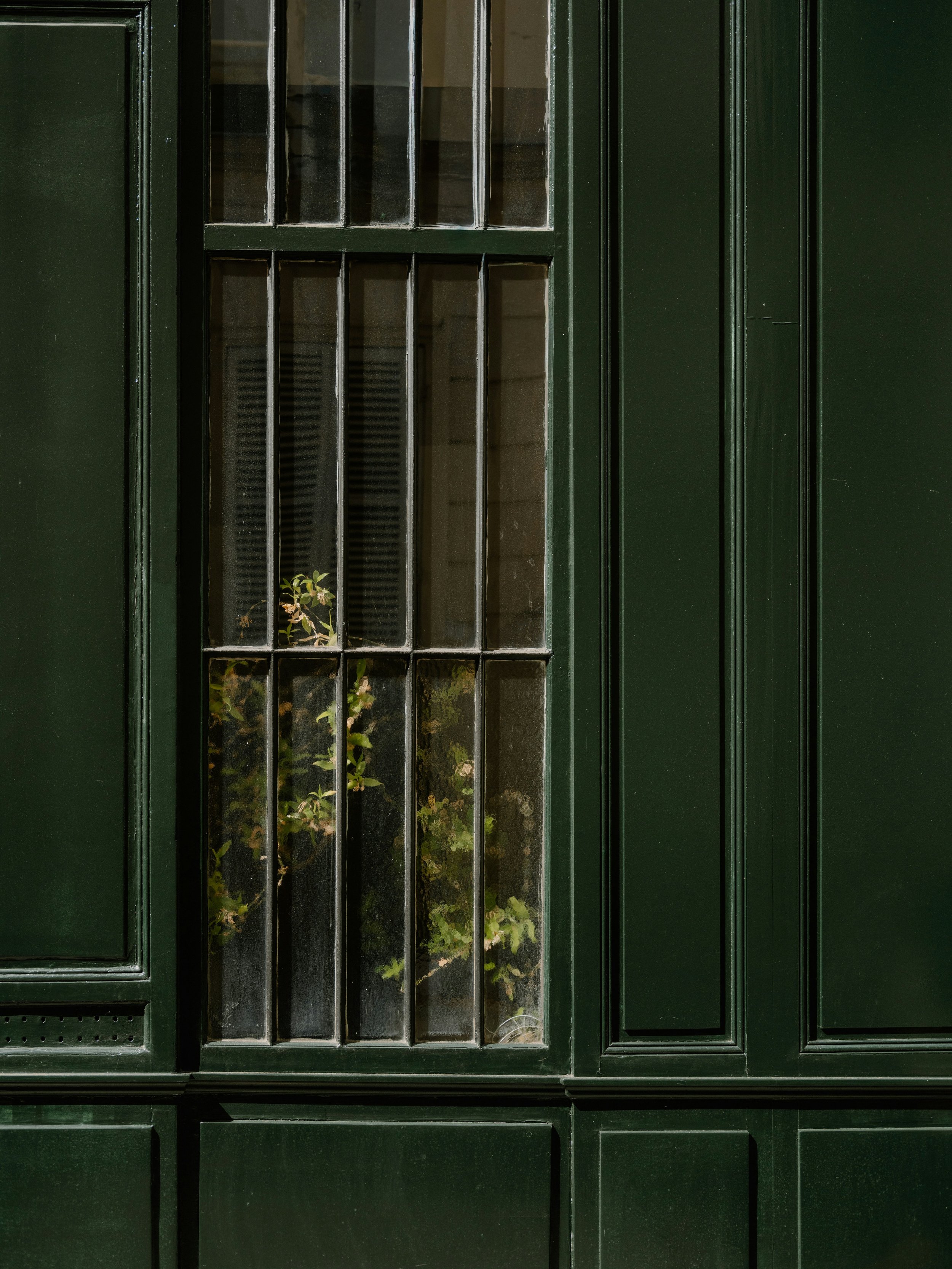 Green door with a glass window and metal bars, some plants visible inside