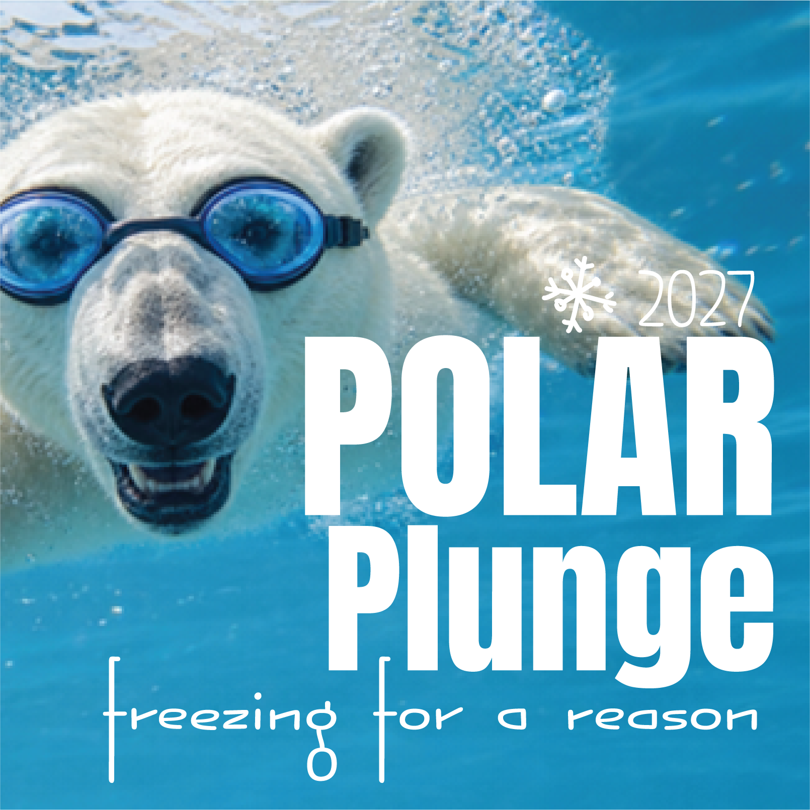PolarP_thumbnail.png