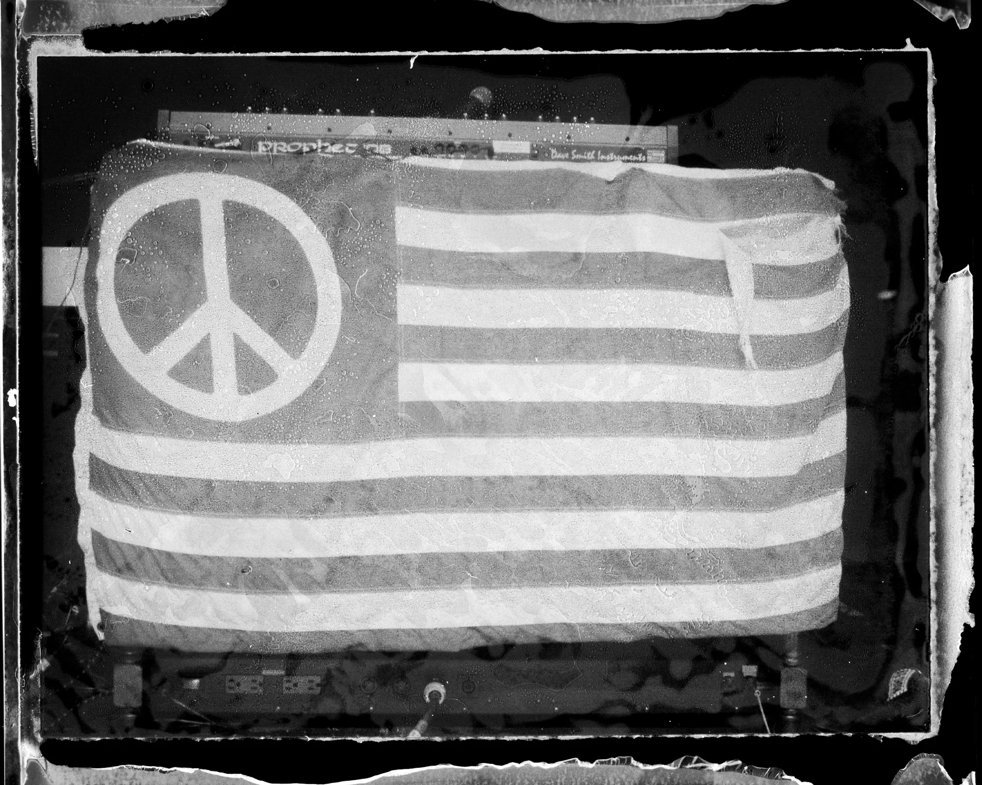 Ryan-Adams_enomre-11_edit.jpg