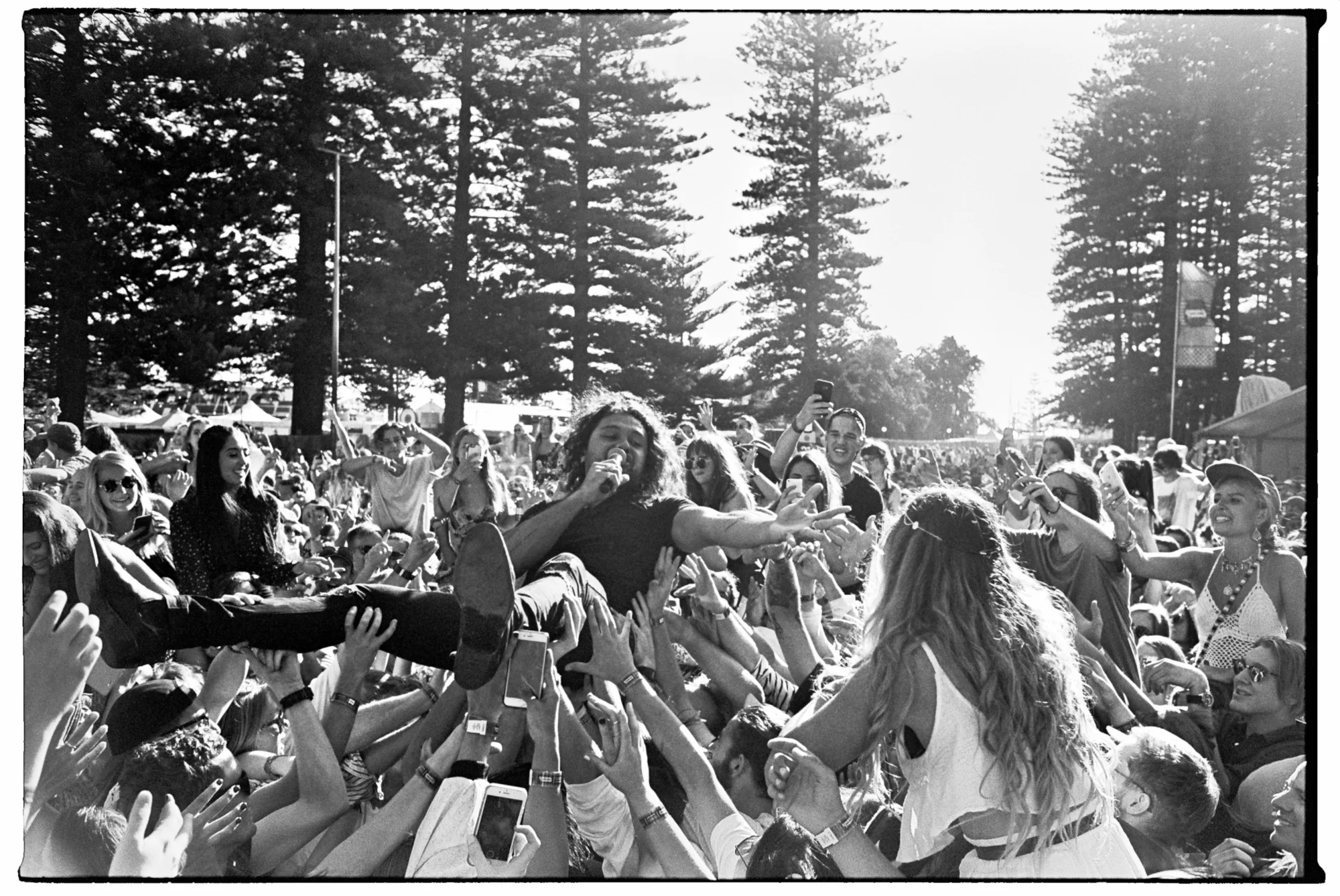 19_laneway17_credit_maclay-heriot15.jpg