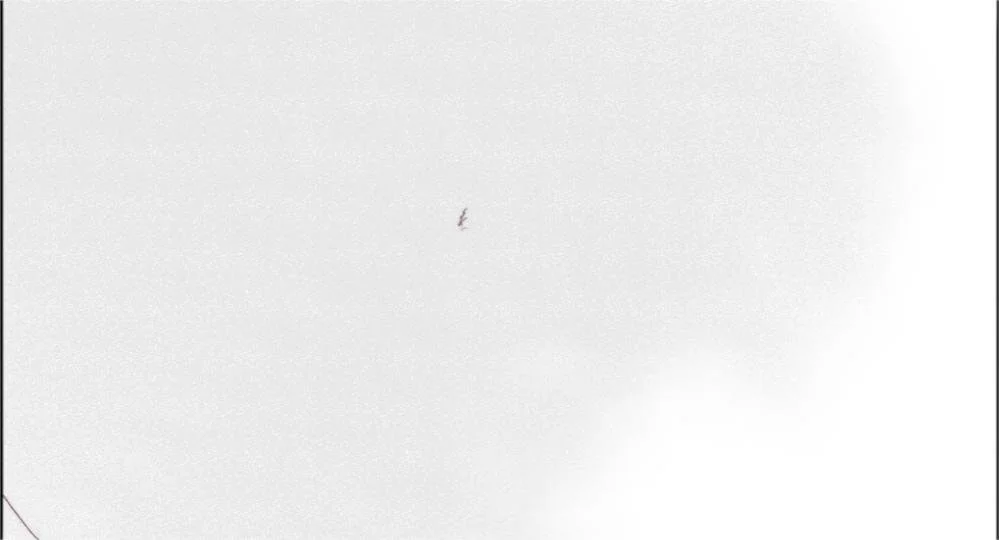 cbf_xxb_80_0164_2461.jpg