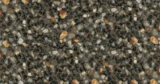 Exposed Black Sheoak, Holcim
