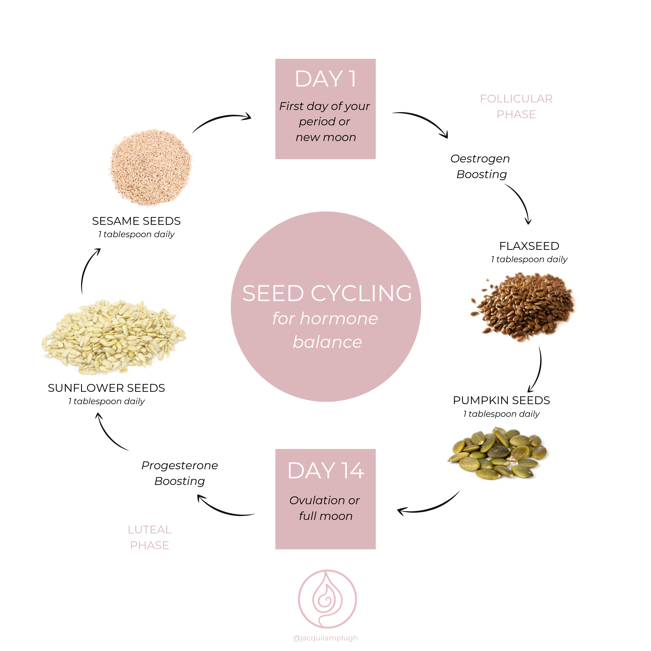 Seed Cycling Diagram.png