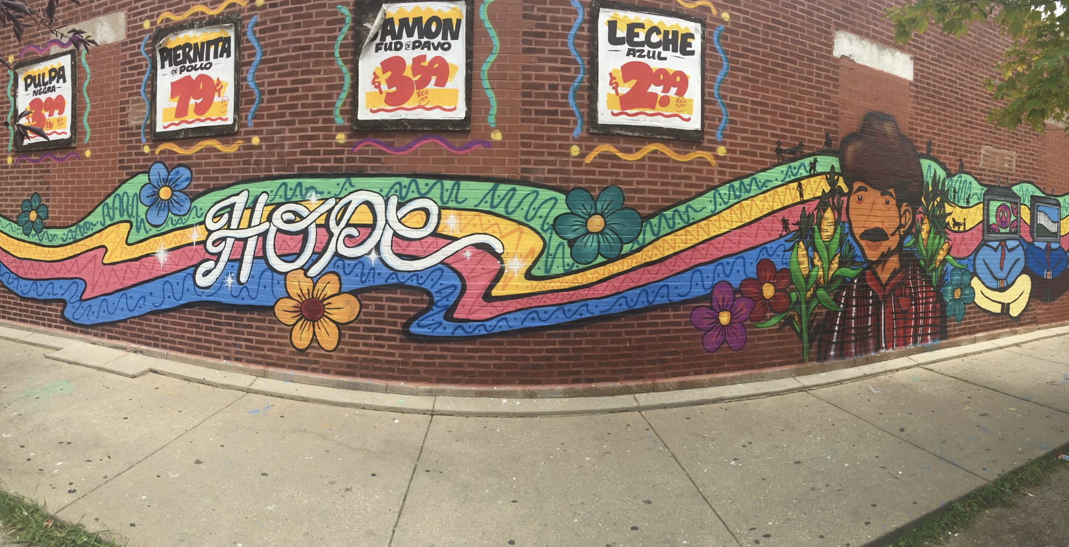 Finished Mural! Photo Courtesy by Elevarte Community Studios
