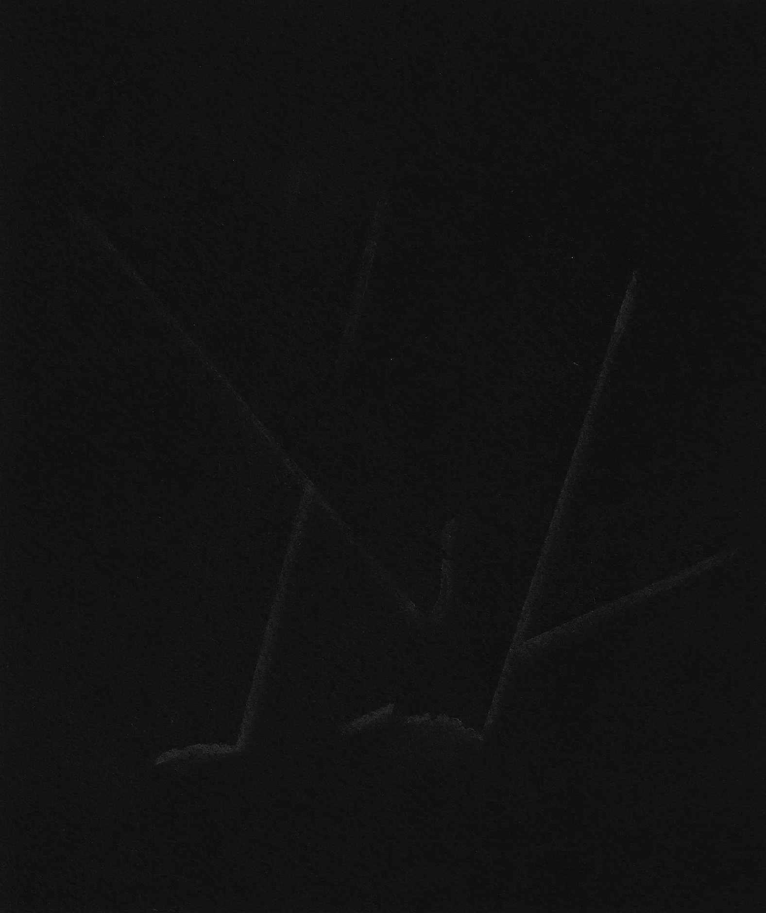 MFA App Graditude Drawing_Asha Iman Veal.jpg