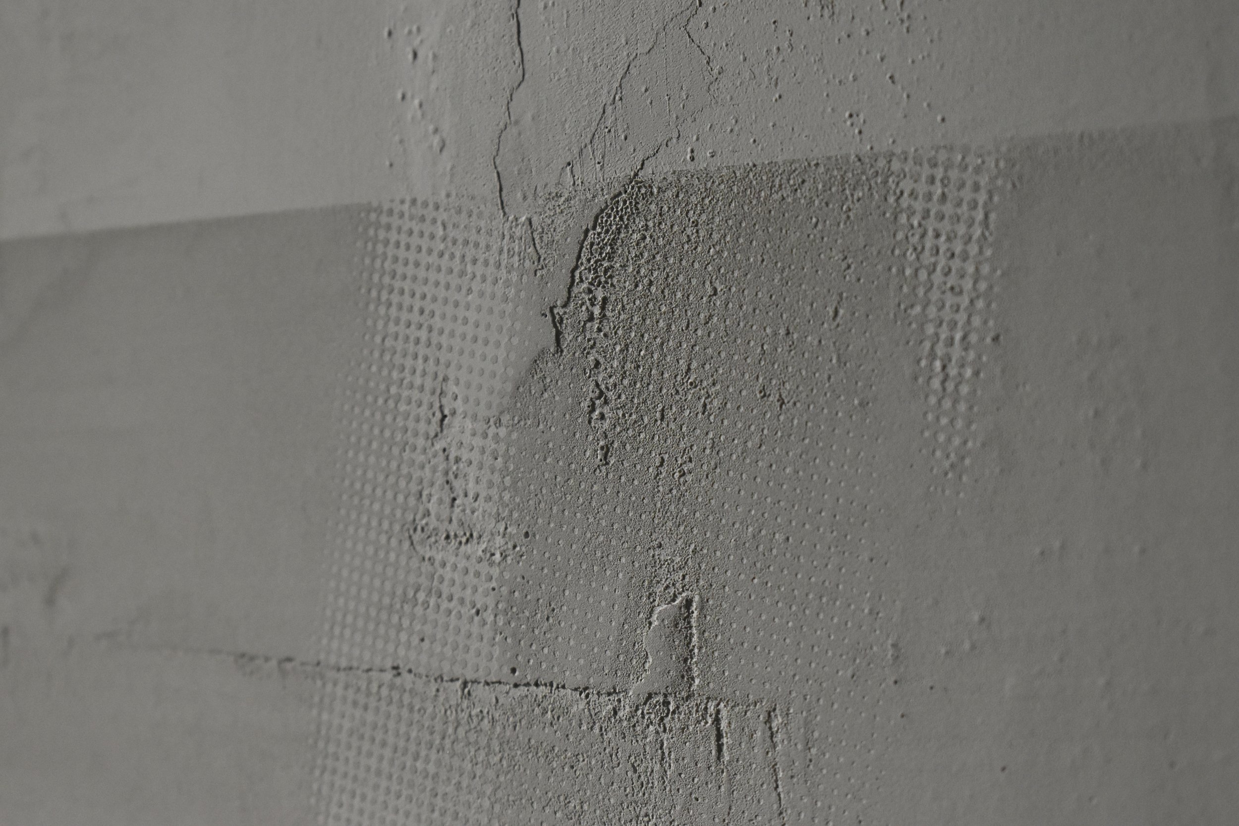 _DSC0090_1.jpg